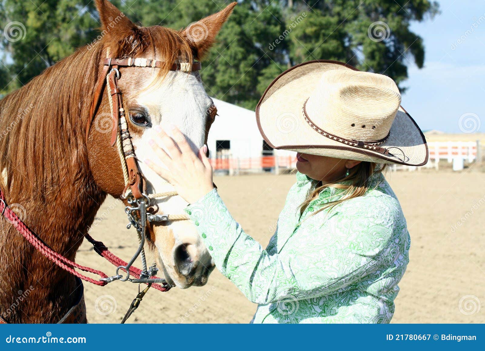 Horse and Owner 2 stock image. Image of prance, girl 21780667