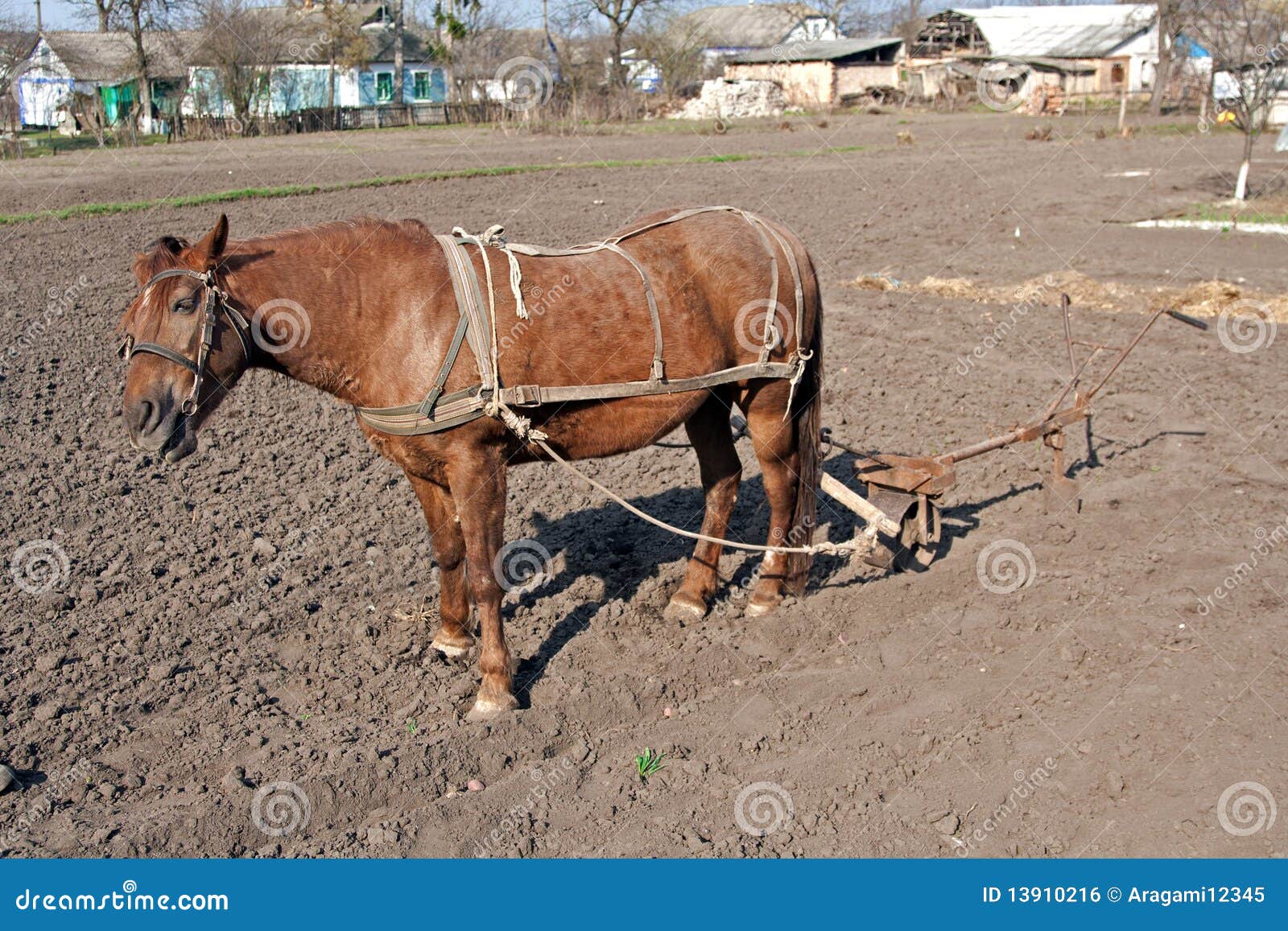 Horse with plow stock photo. Image of fashioned, nature 13910216