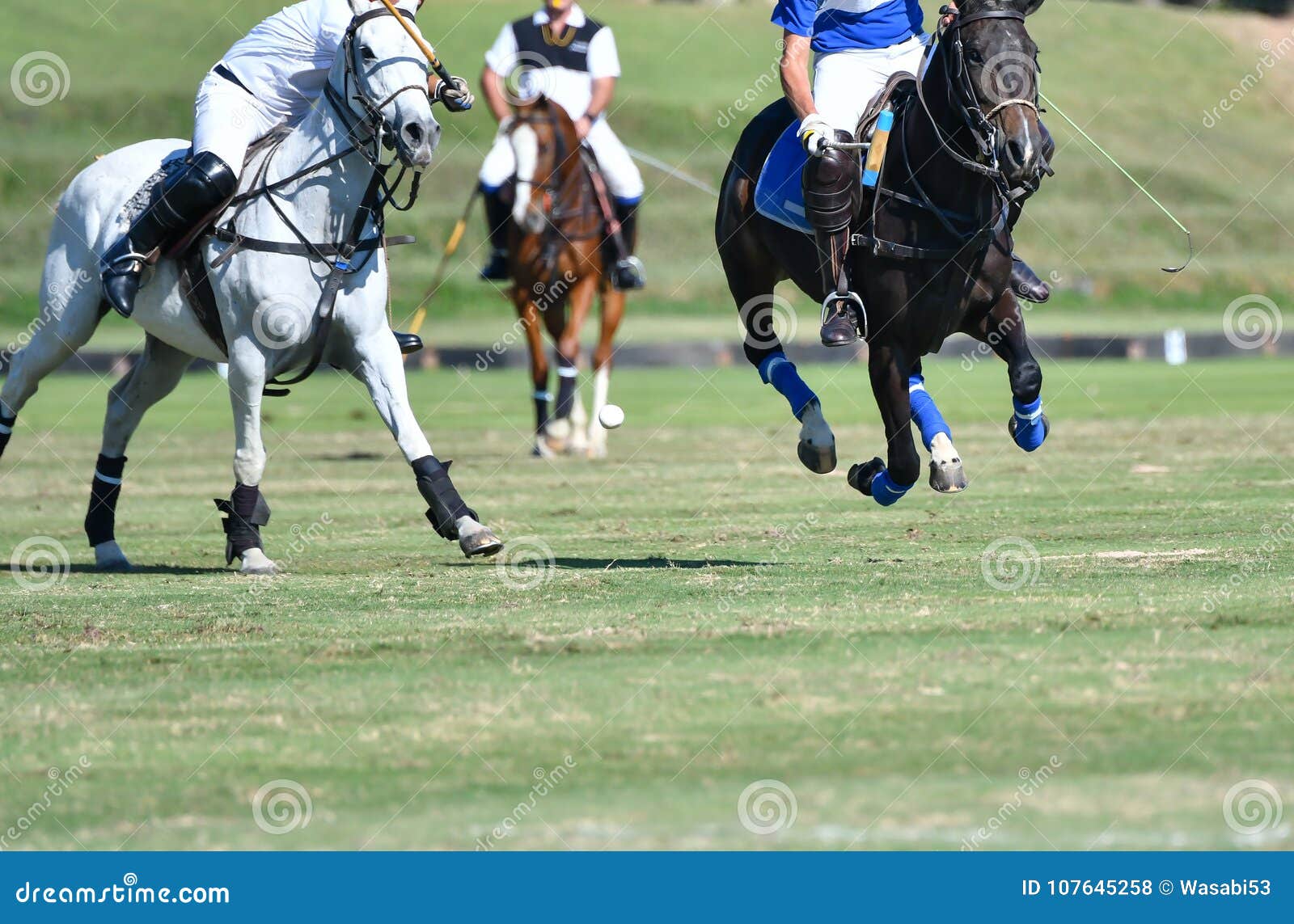 Horse Polo Ball in Match stock photo. Image of saddle 107645258