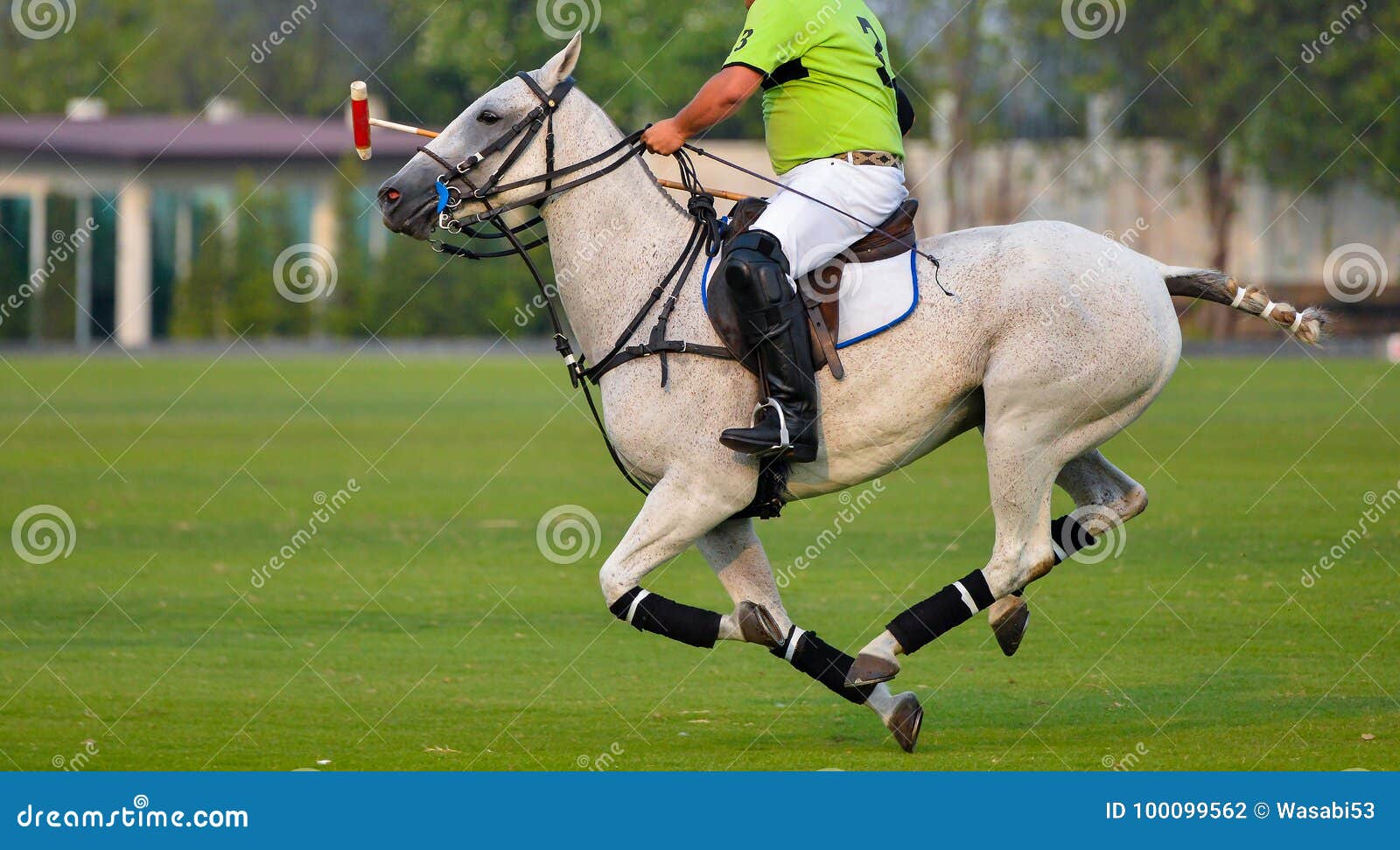 Horse polo player riding editorial photography. Image of dirt 100099562