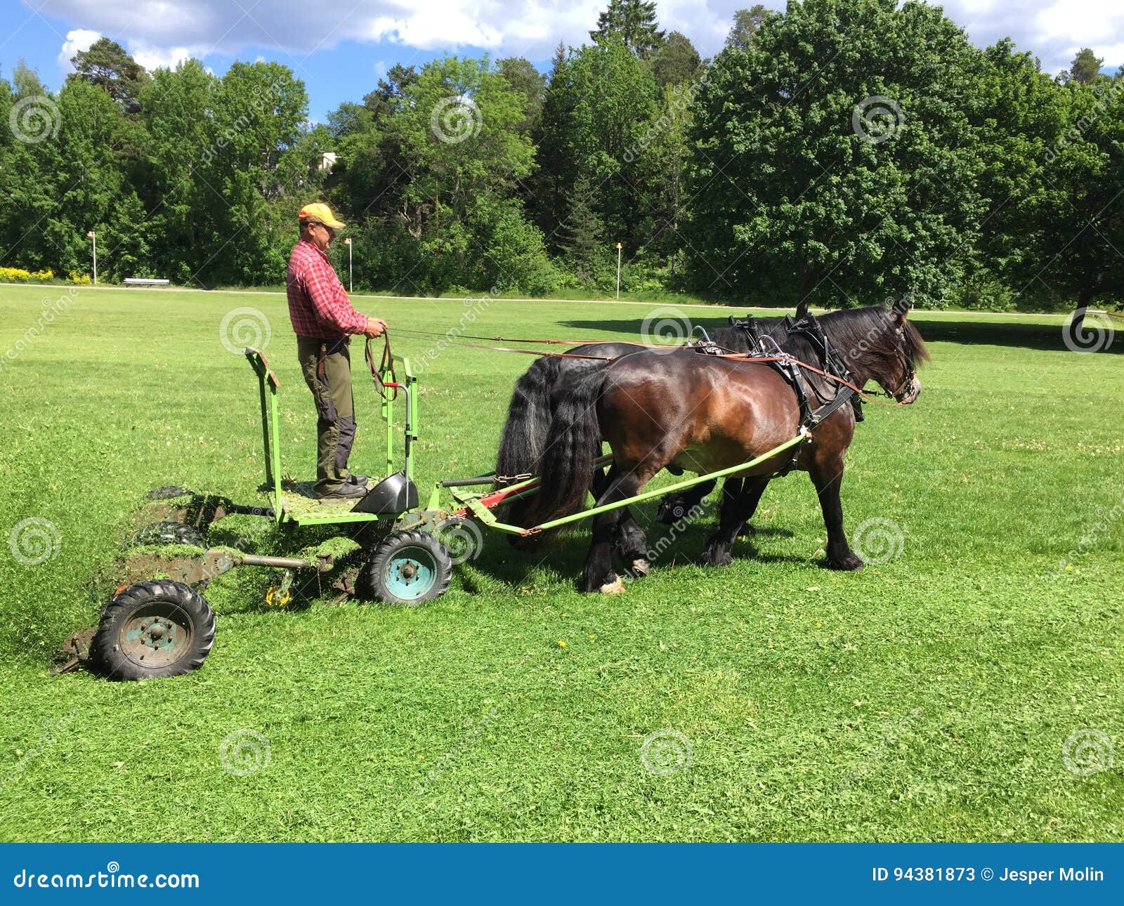 Horsepowered lawnmover editorial stock photo. Image of farmer 94381873