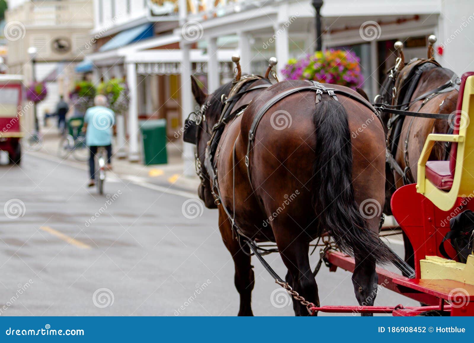 Horse Pulling Wagon in Town Stock Photo Image of portrait, ride