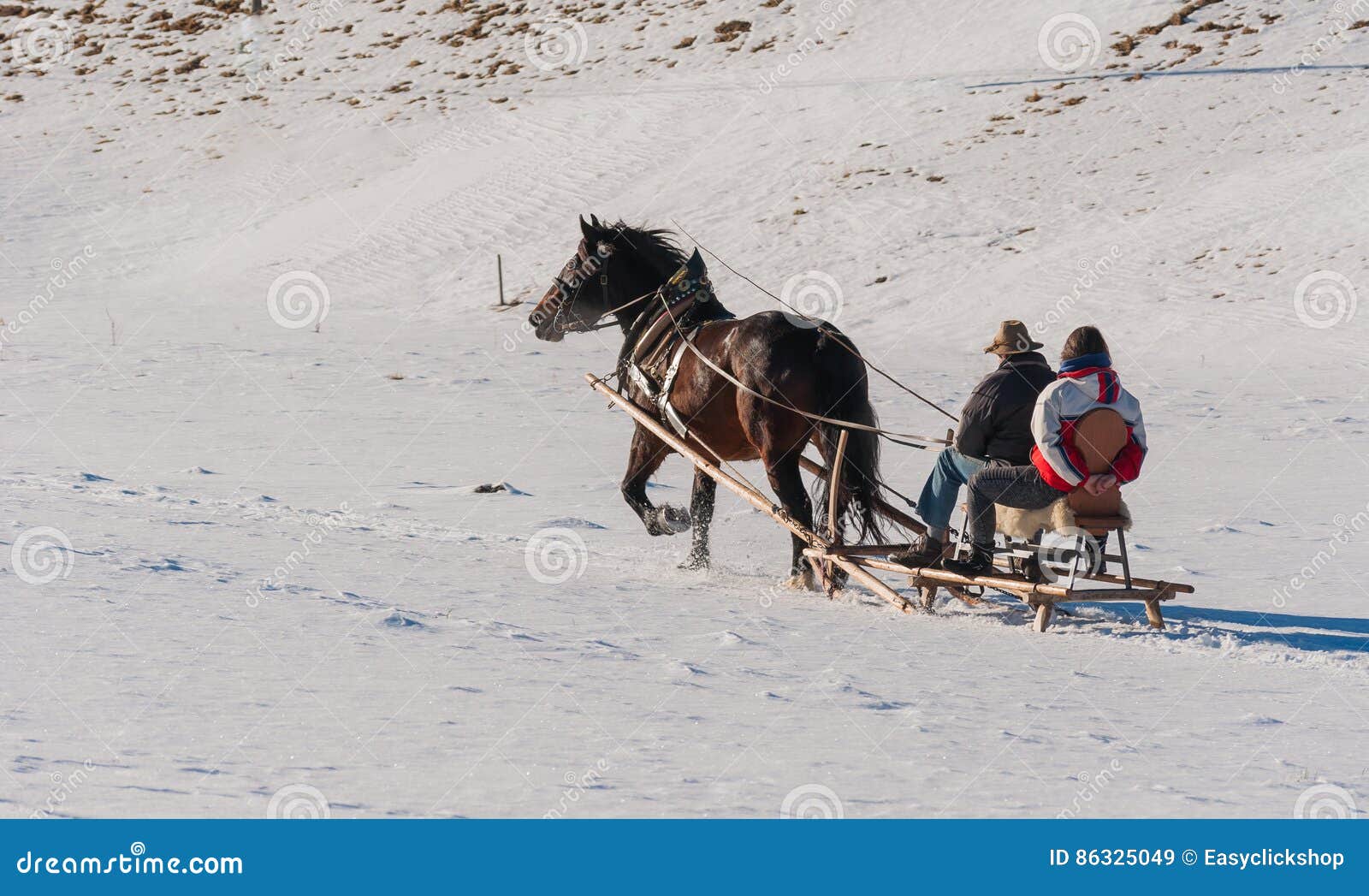 Horse pulls a sleigh stock image. Image of winter, outside 86325049