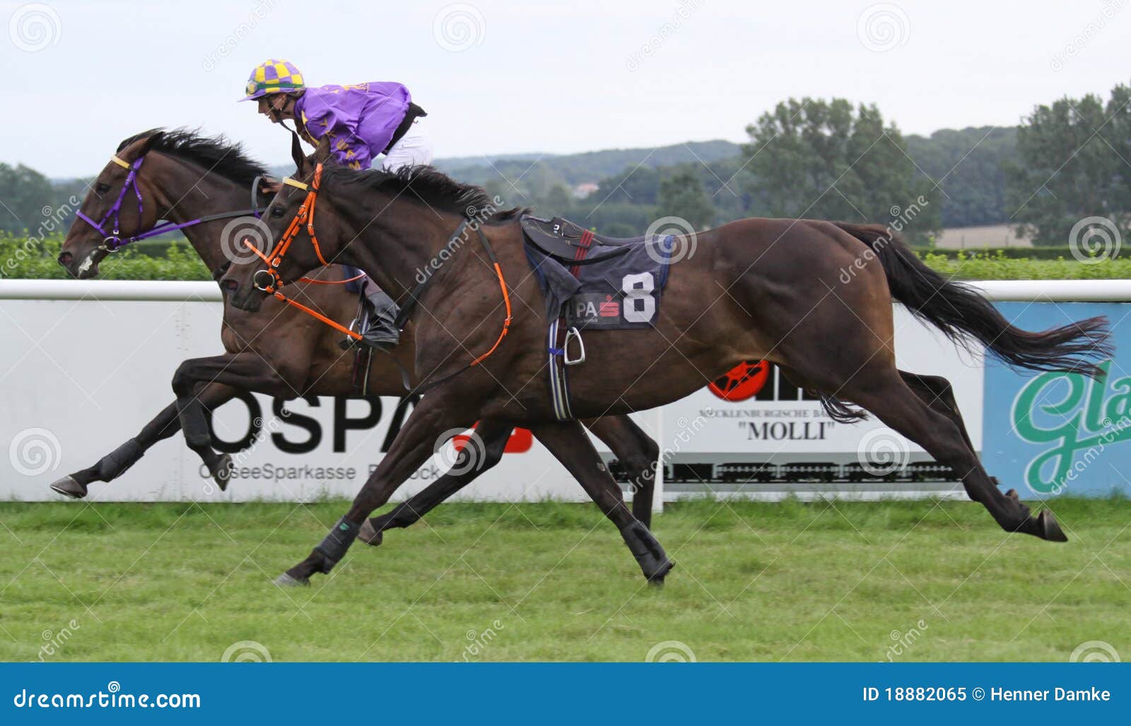 Horse race 06 editorial image. Image of toying, champ 18882065