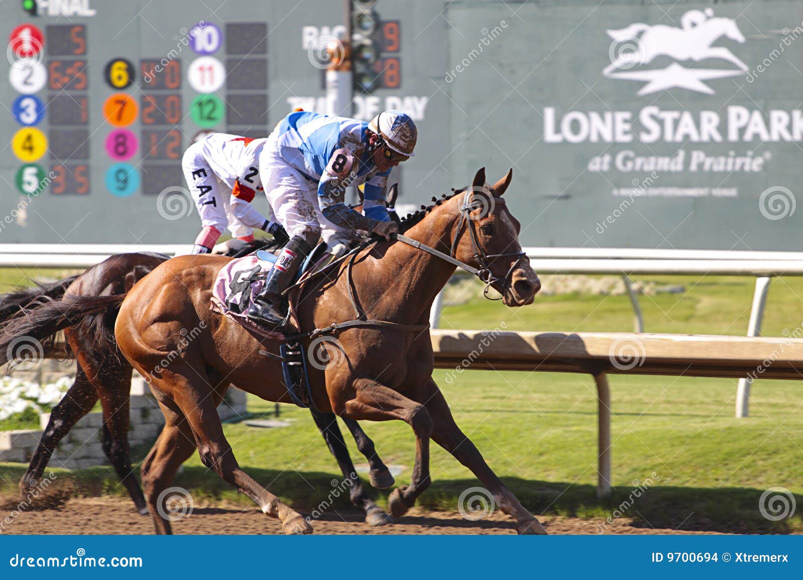 Horse race. editorial stock image. Image of gambling, excitement 9700694