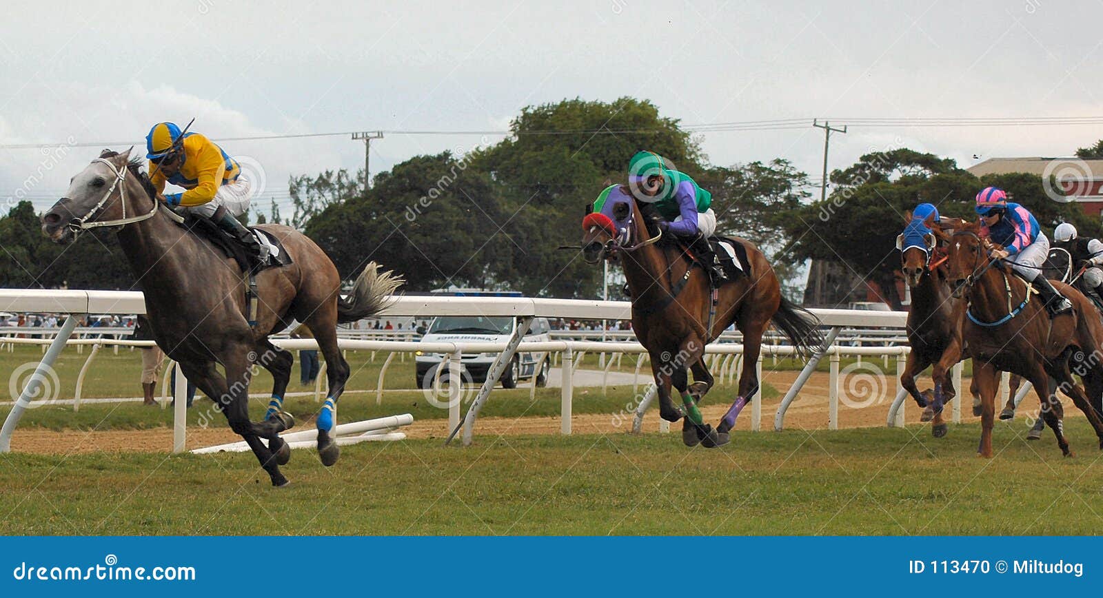 2021-model-barbados-horse-racing-miniature-sheet