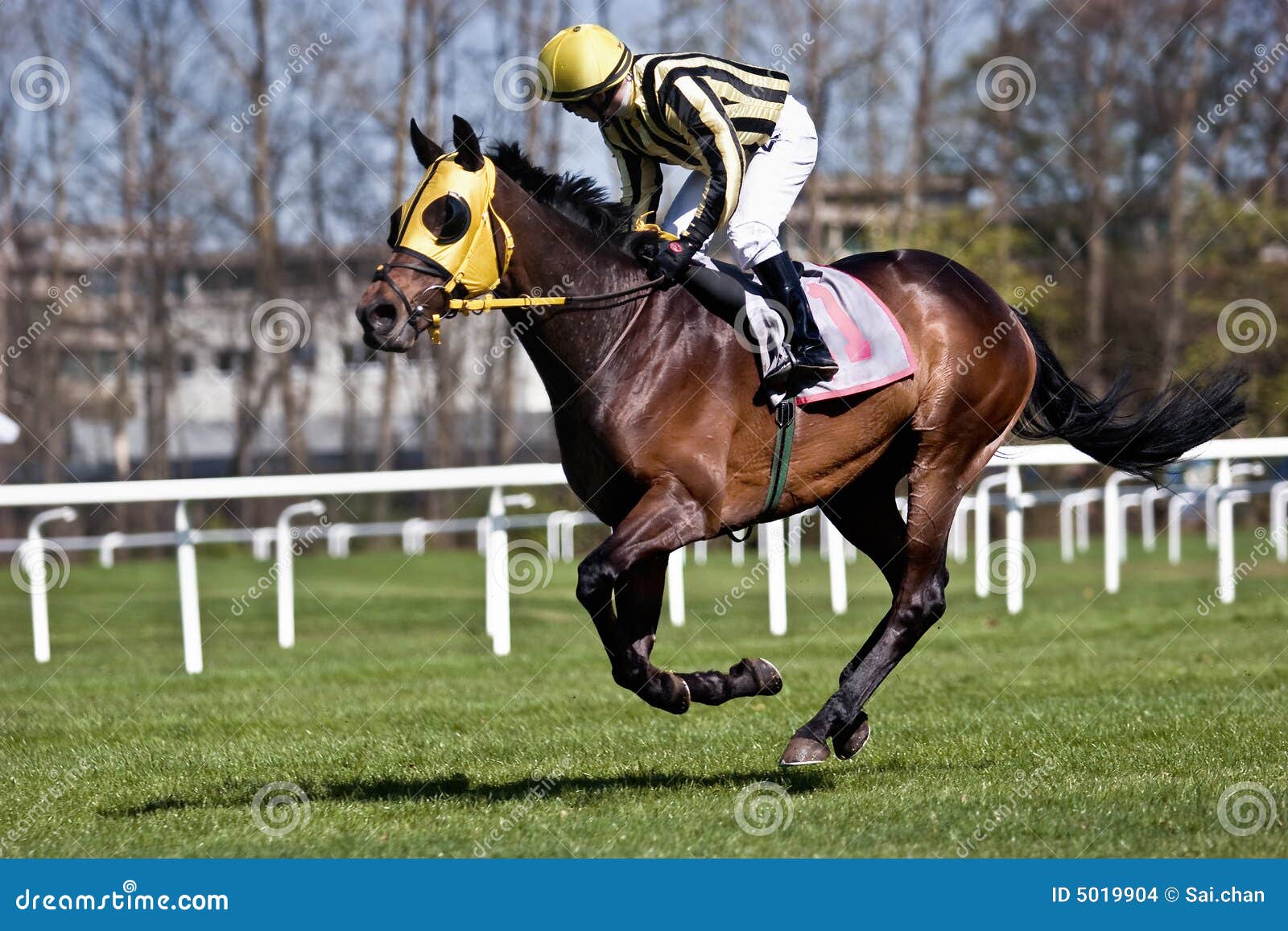 Horse racing stock photo. Image of stakes, sports, sprint 5019904