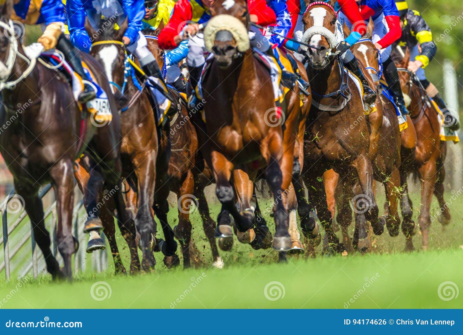 horse racing animals hoofs legs action