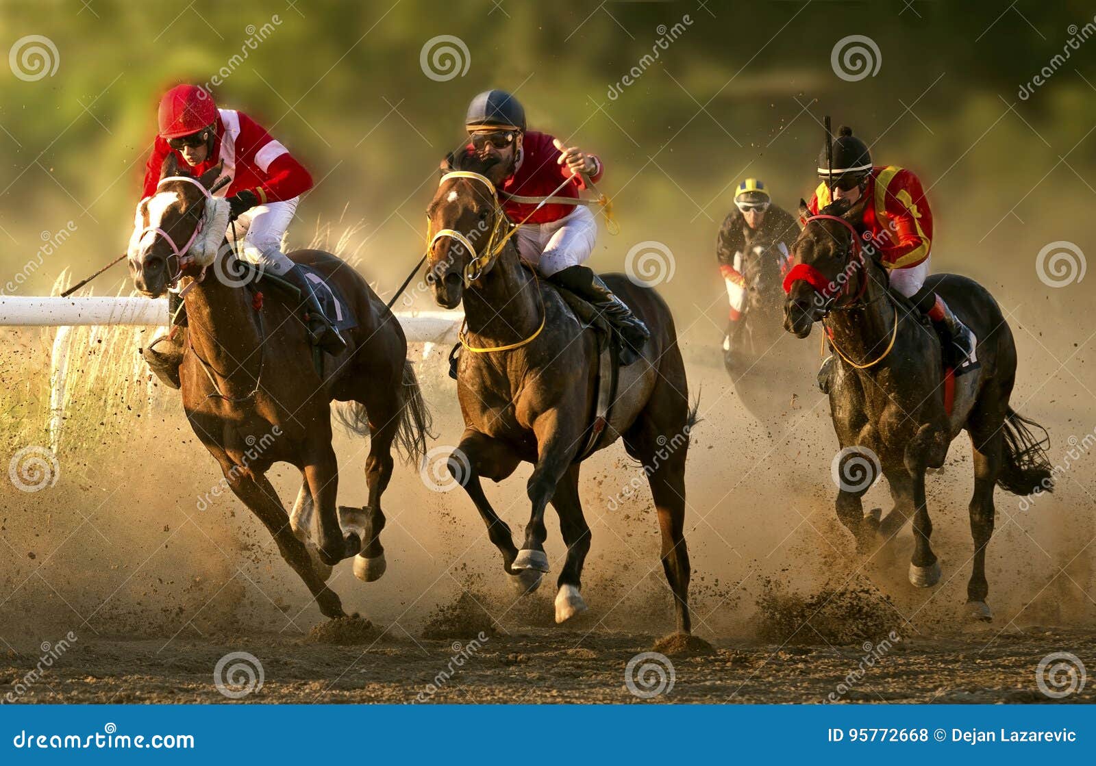 Horse Racing on the Belgrade Hippodrome Editorial Stock Photo Image