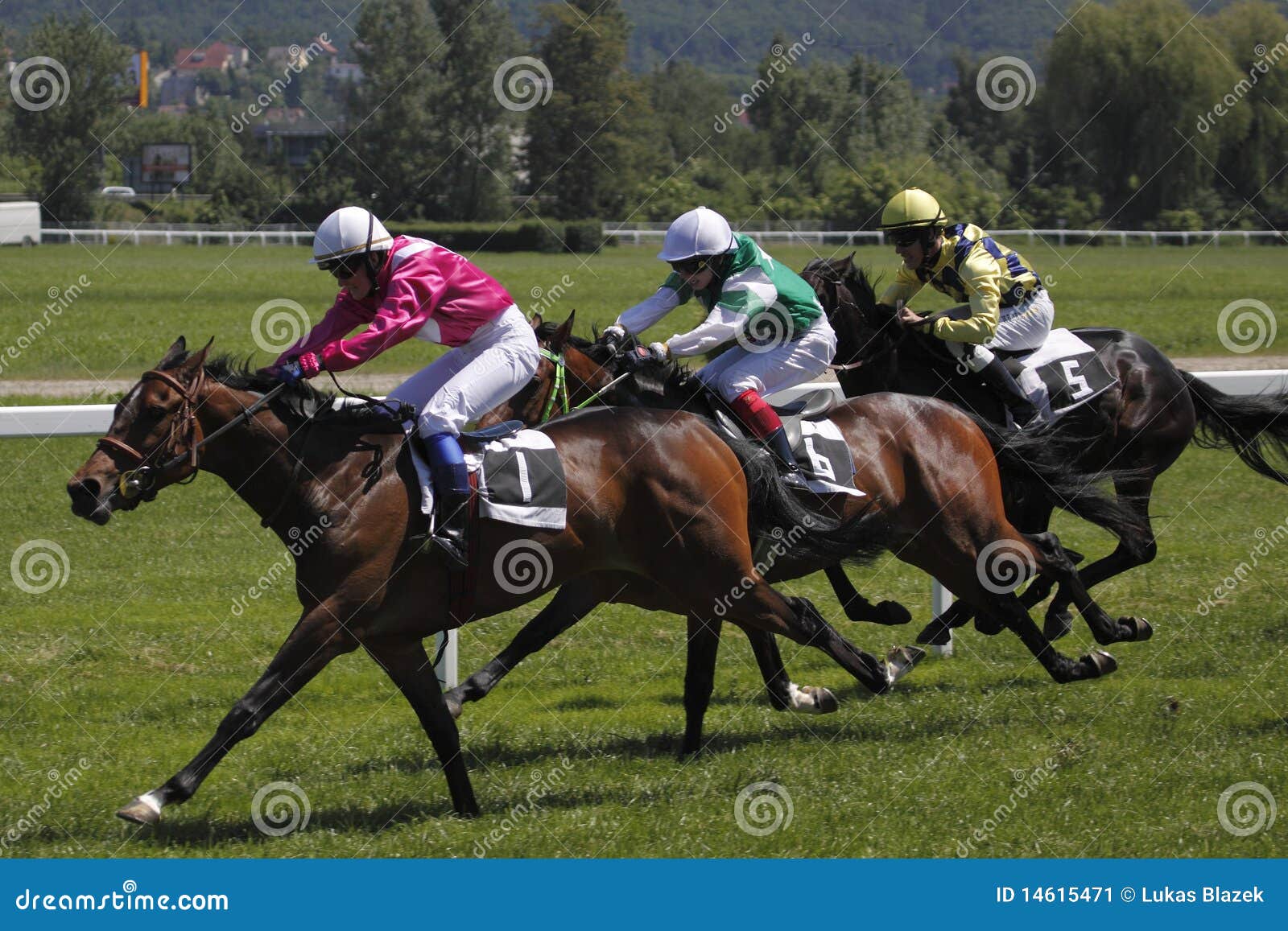 Horse Racing June Grand Prix in Prague Editorial Photo Image of