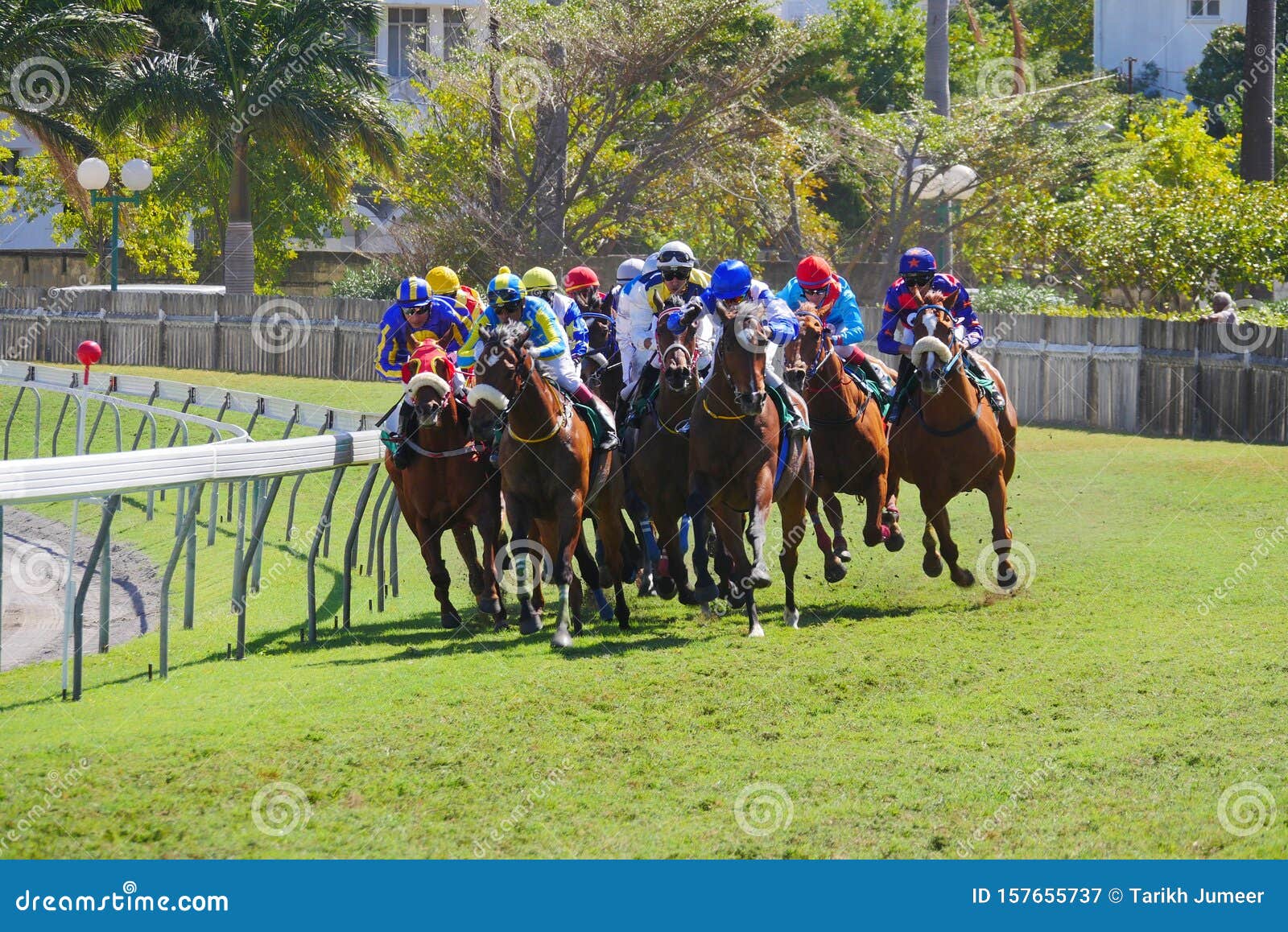 Mauritius Race Card - THE SHOOT