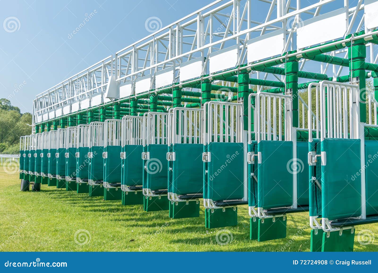 Horse Racing Starting Gates Stock Photo Image Of Grass Competition