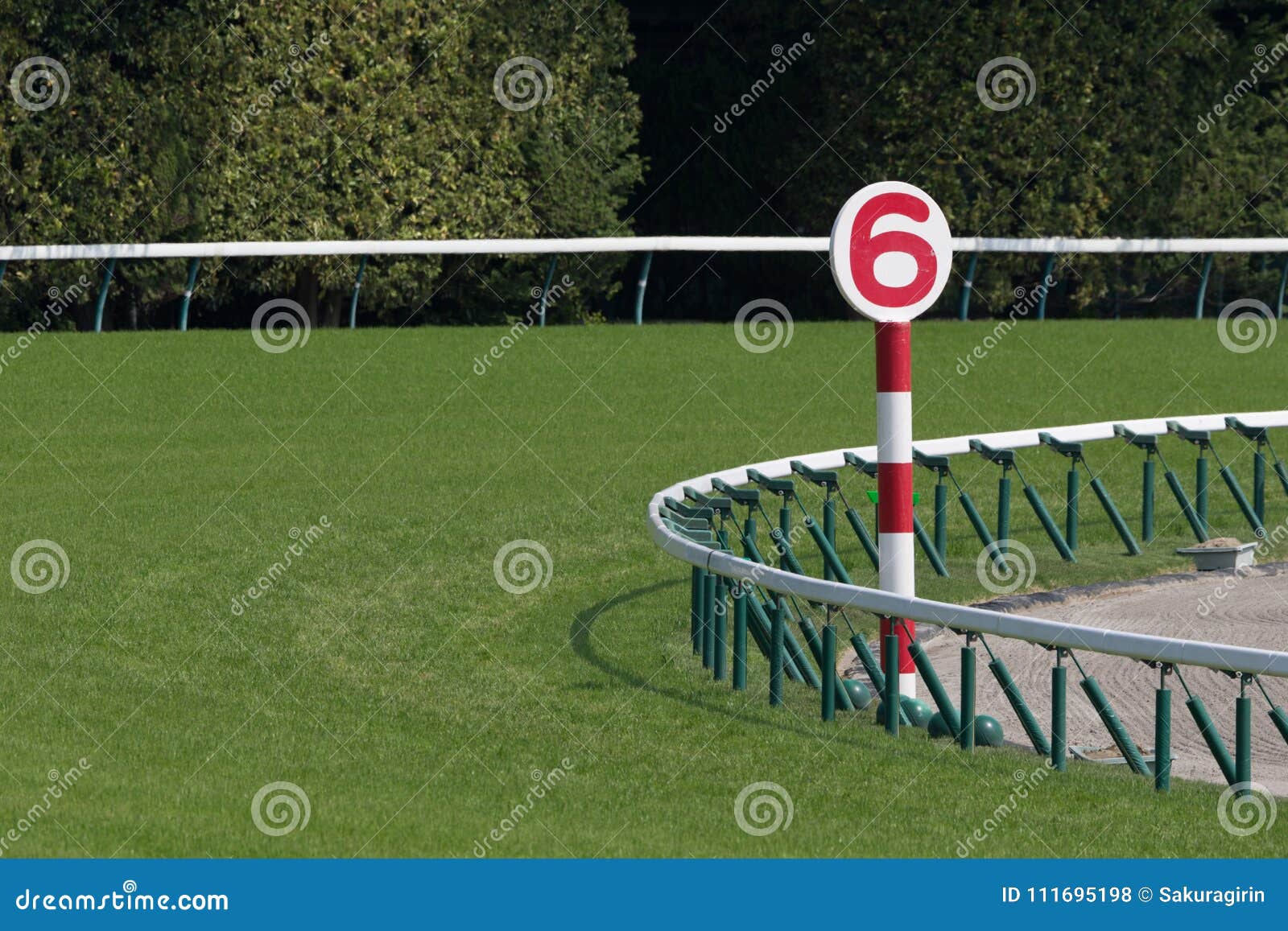 Horse racing track stock photo. Image of japan, racehorse 111695198