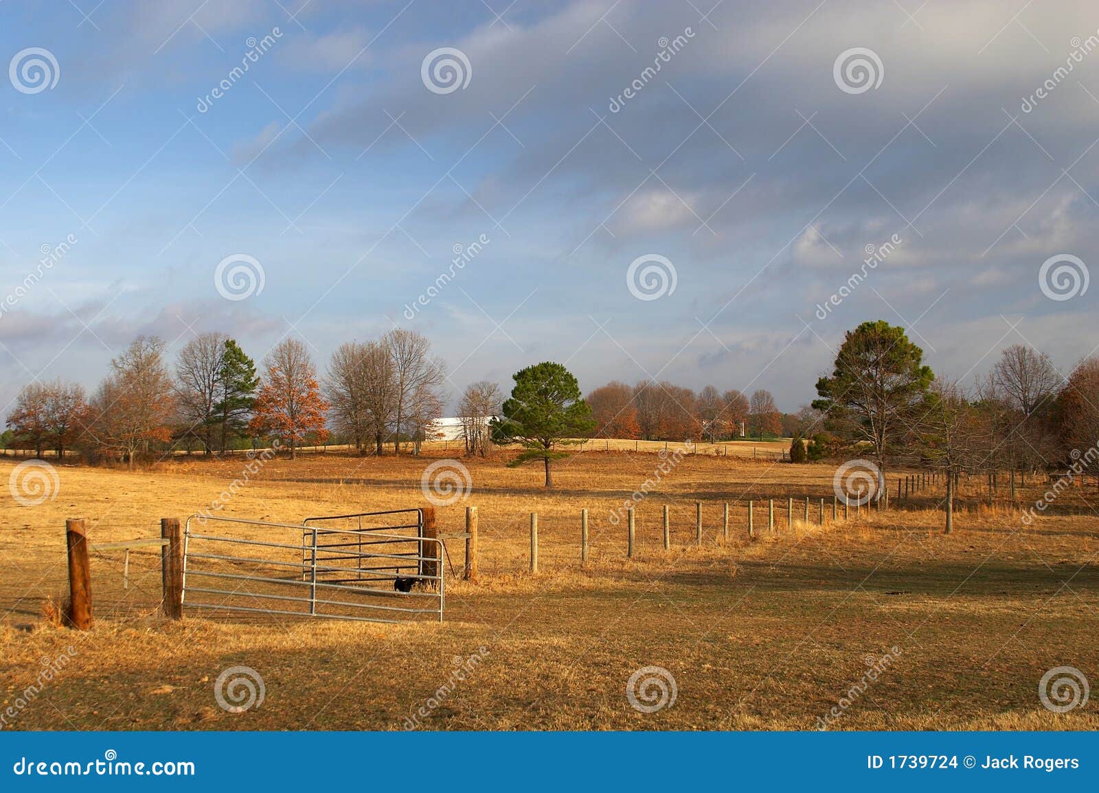 Horse Ranch stock photo. Image of relaxation, jack, pond 1739724