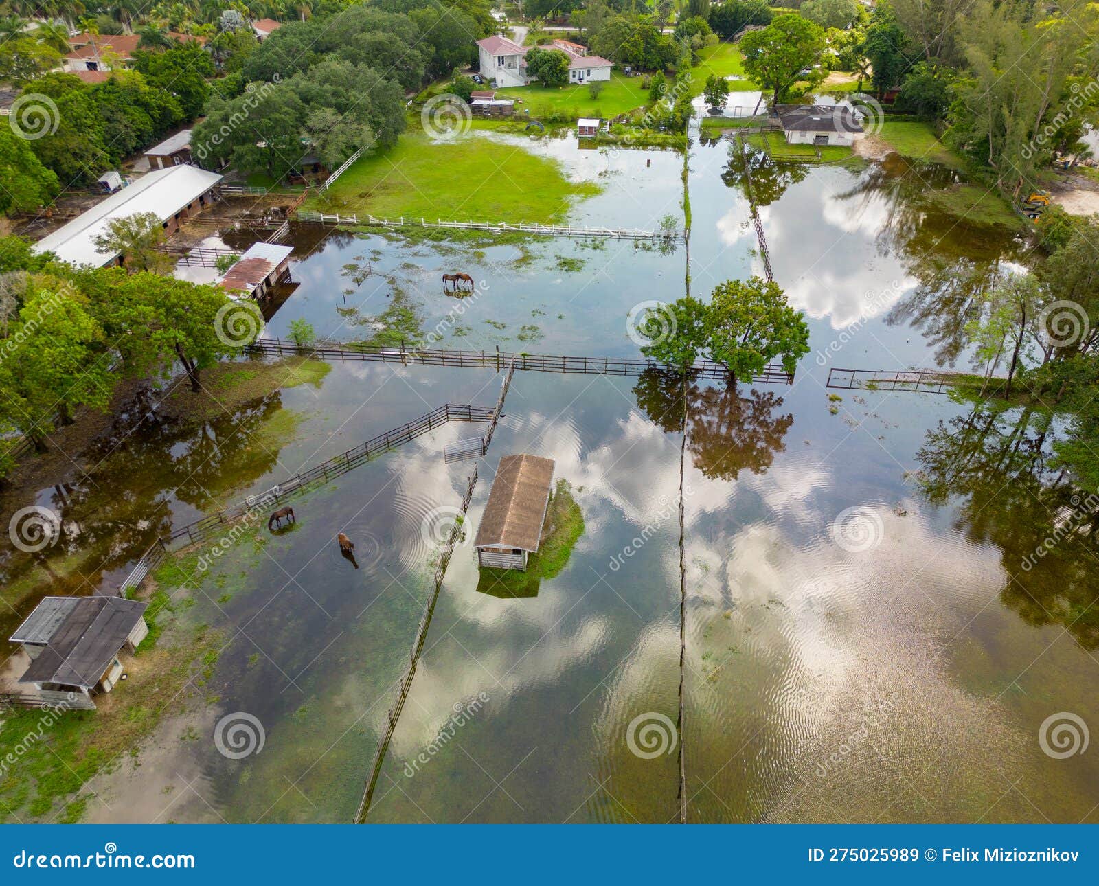 horse ranch farms flooded in southwest ranches fl usa after many days of heavy rain storms