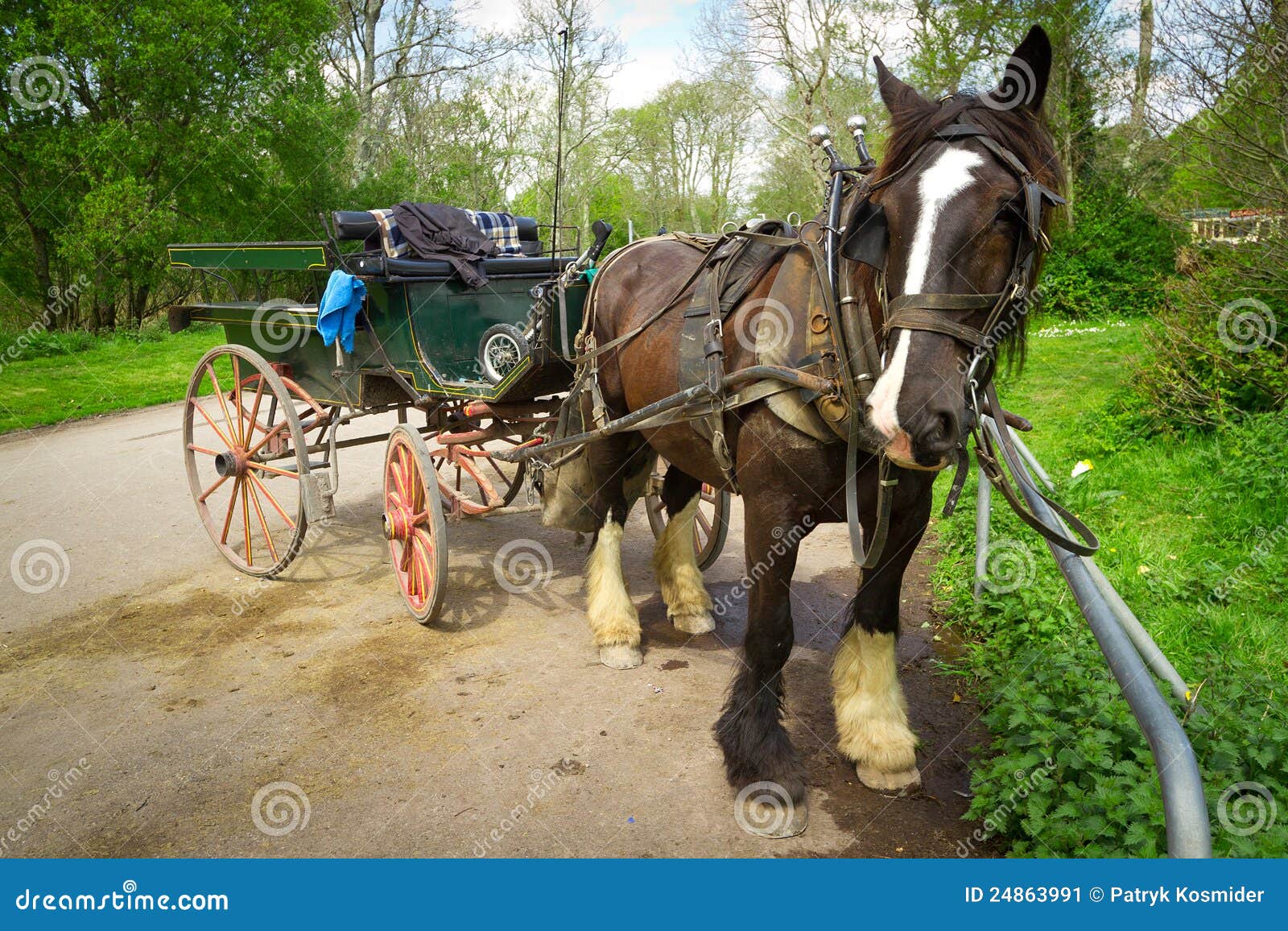 Horse Ride In Killarney National Park Stock Image Image Of