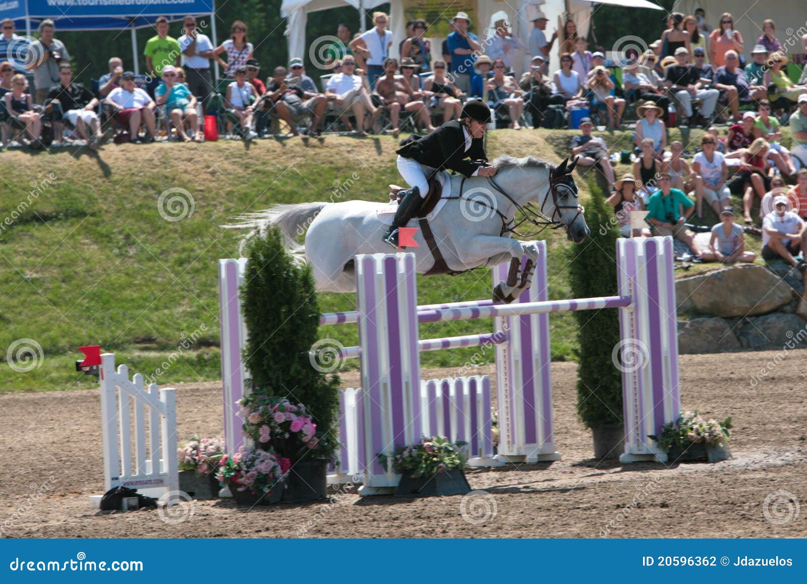 Horse Rider at the Bromont Jumping Competition Editorial Photography