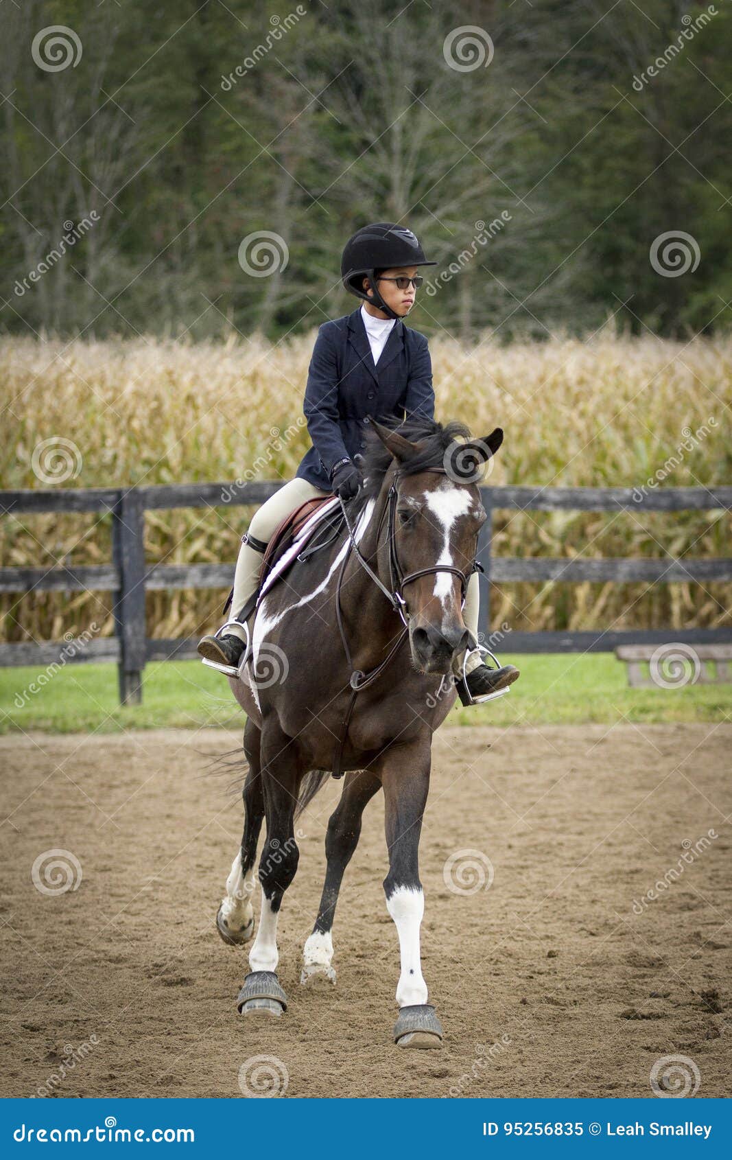 Horse and rider cantering stock image. Image of brown 95256835