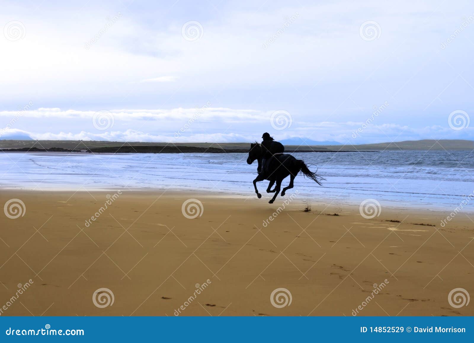 Horse and Rider Galloping Along the Coast Stock Image Image of ocean