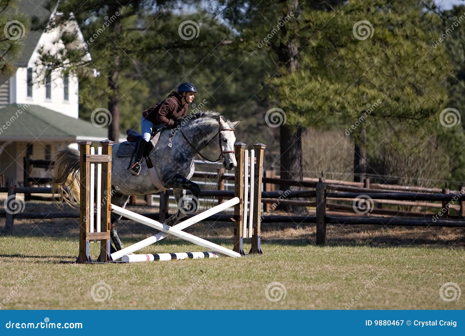 Full Length Shot Young Female Rider Jumping Hurdle Her Horse fotos, imagens  de © PeopleImages.com #585006420