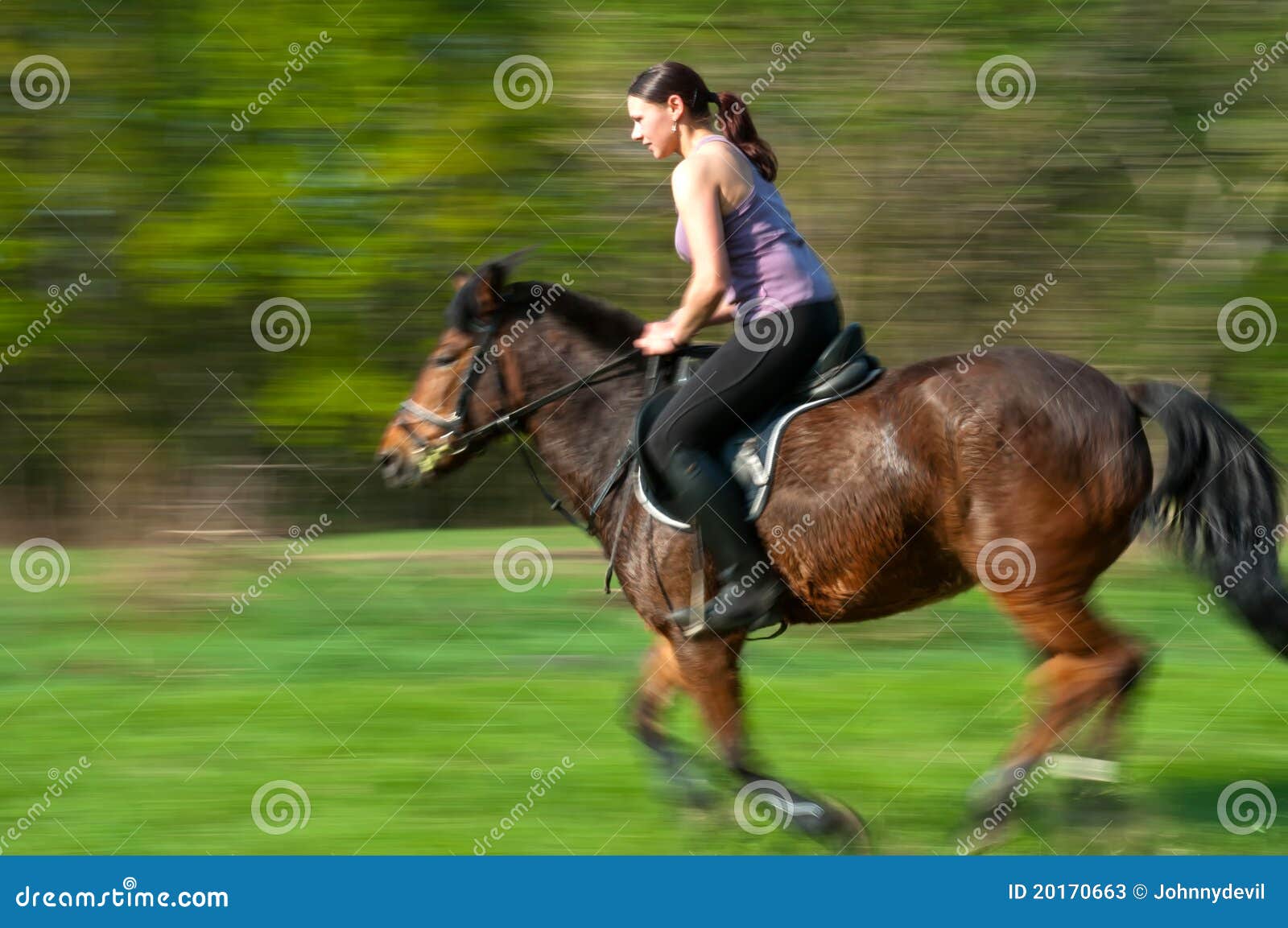 Horse Riding stock image. Image of equestain, beauty 20170663