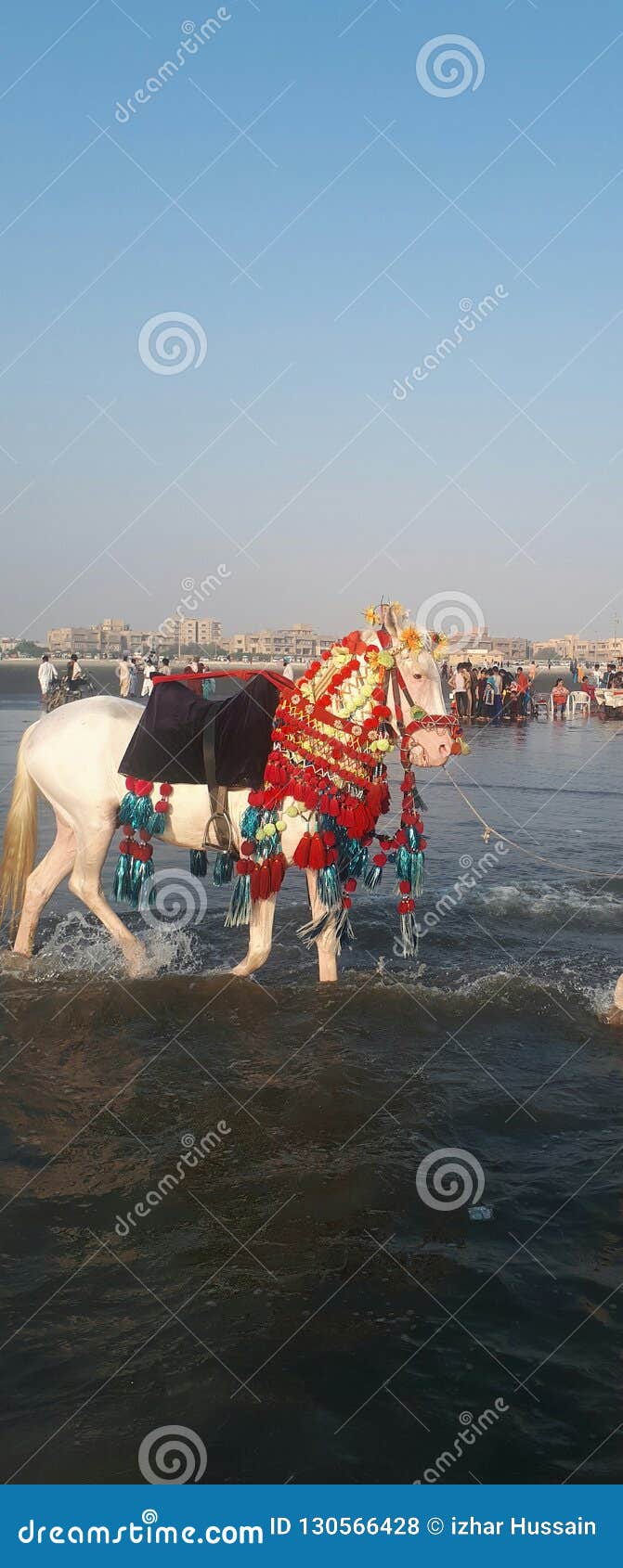 Horse Riding at Clifton stock photo. Image of riding 130566428