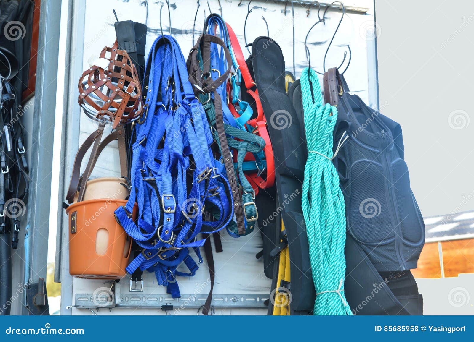 Horse riding equipment. stock photo. Image of dressage 85685958