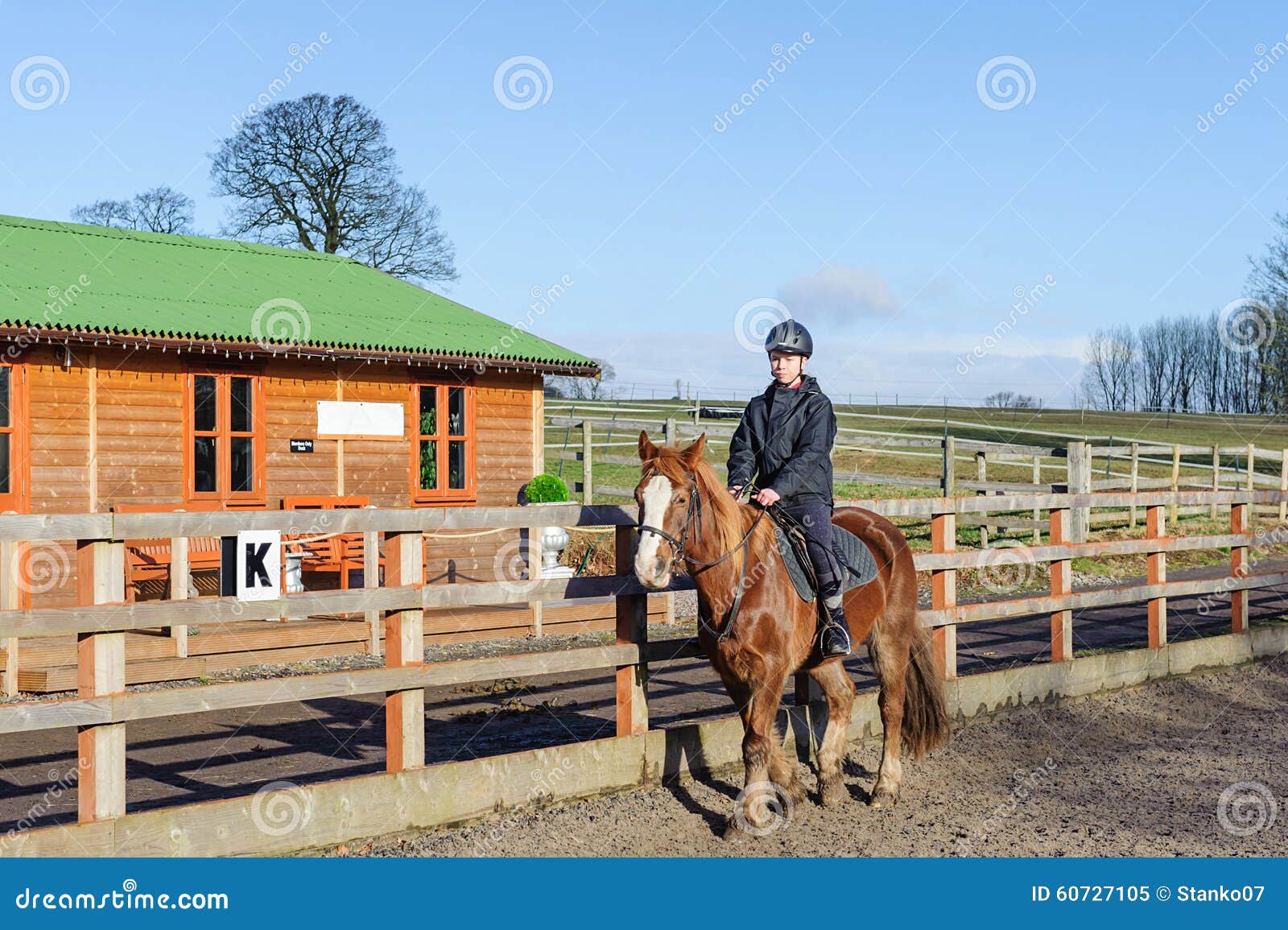 Horse riding at paddock stock image. Image of agriculture 60727105