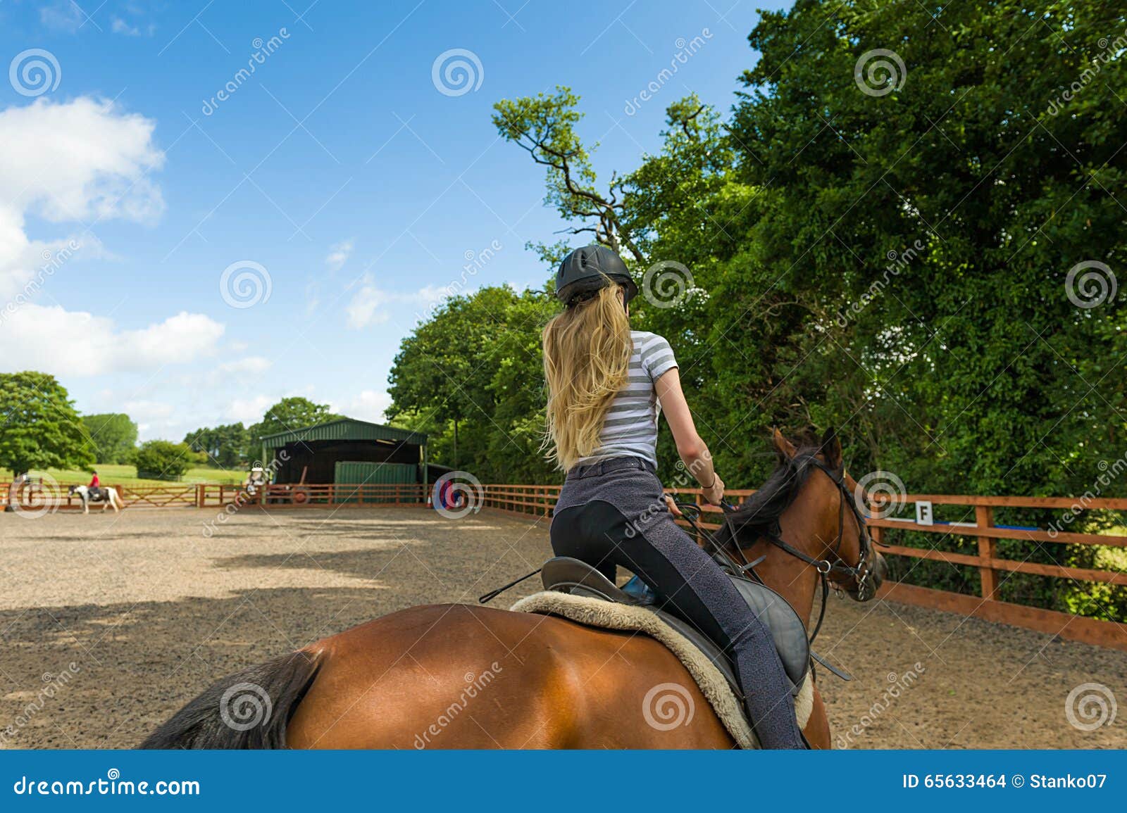 horse riding at paddock