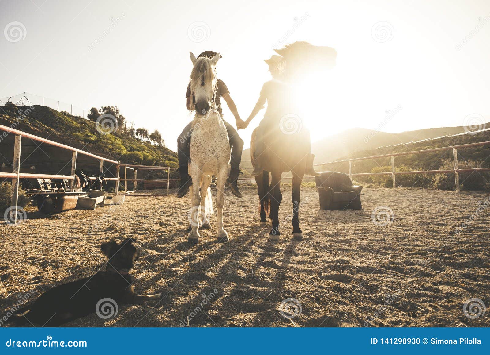 Horse Riding Scenic Picture with Two Animal and People Couple and a Dog Taking Hands with Love and Friendship and Sunset Sunlight Stock Photo - Image of attractive, horses: 141298930 Horse Riding Scenic Picture with Two Animal and People Couple and a Dog Taking Hands with Love and Friendship and Sunset Sunlight Stock Photo - Image of attractive, horses: 141298930