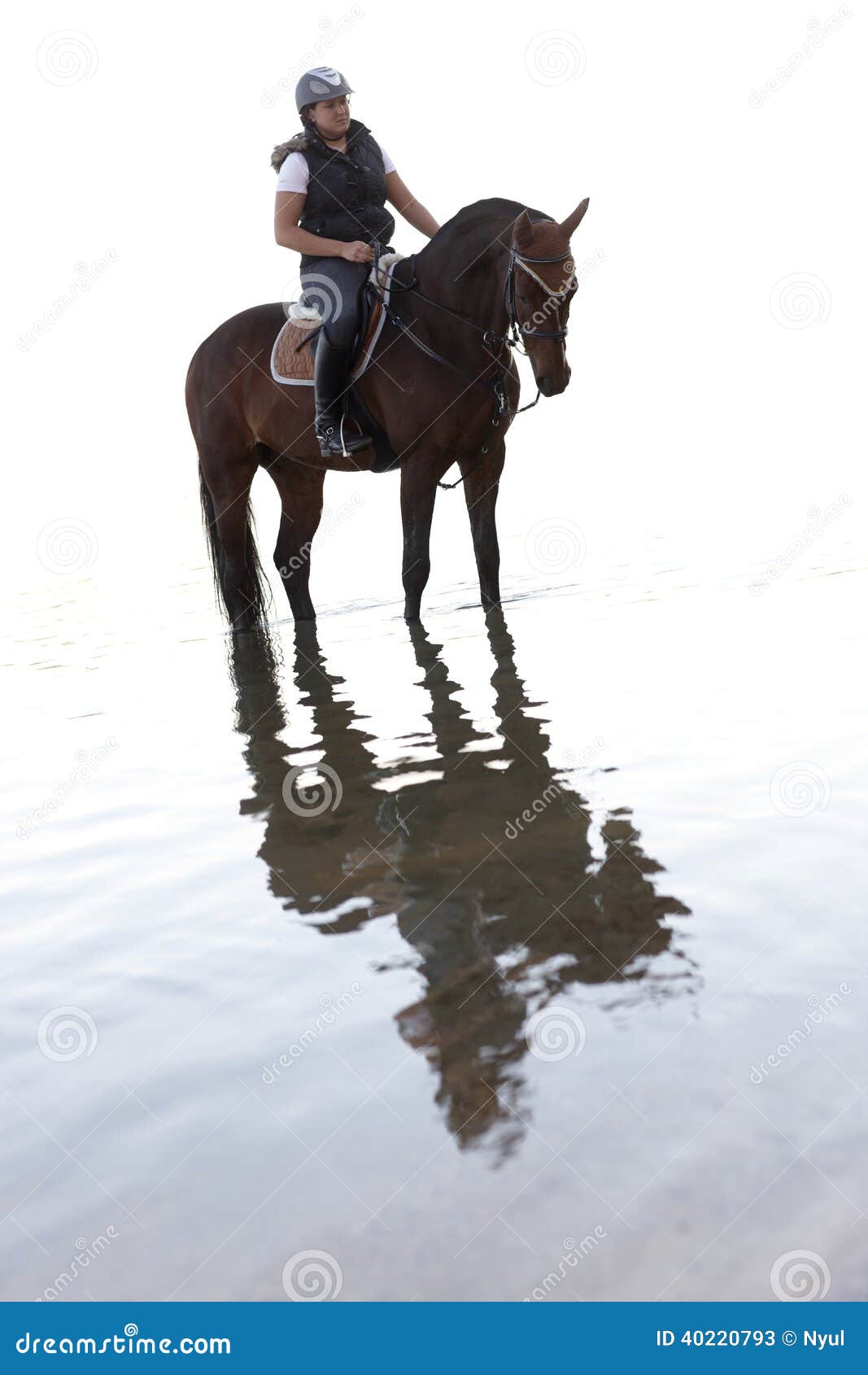 Horse riding in the water stock image. Image of european 40220793