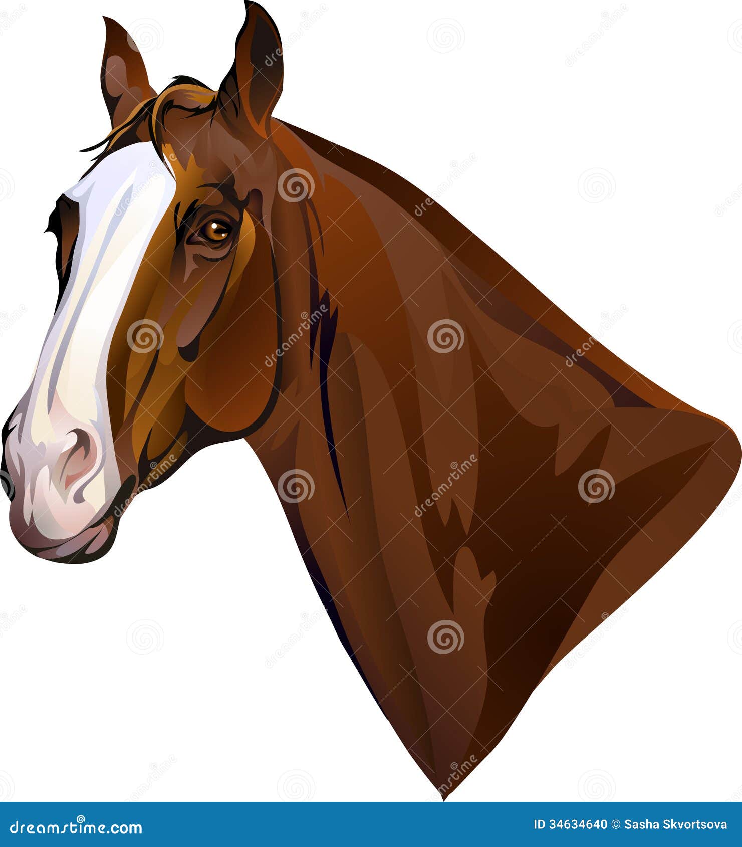 Horses head turning looks stock vector. Illustration of proud 34634640