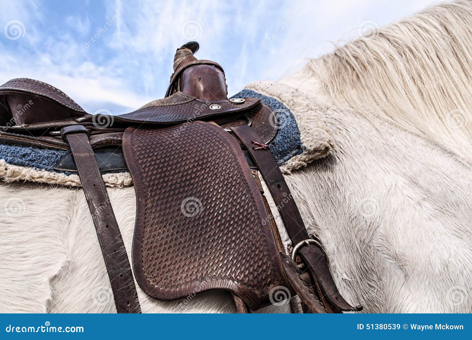 Horse Saddle,leather,blanket Stock Image Image of horn, black 51380539