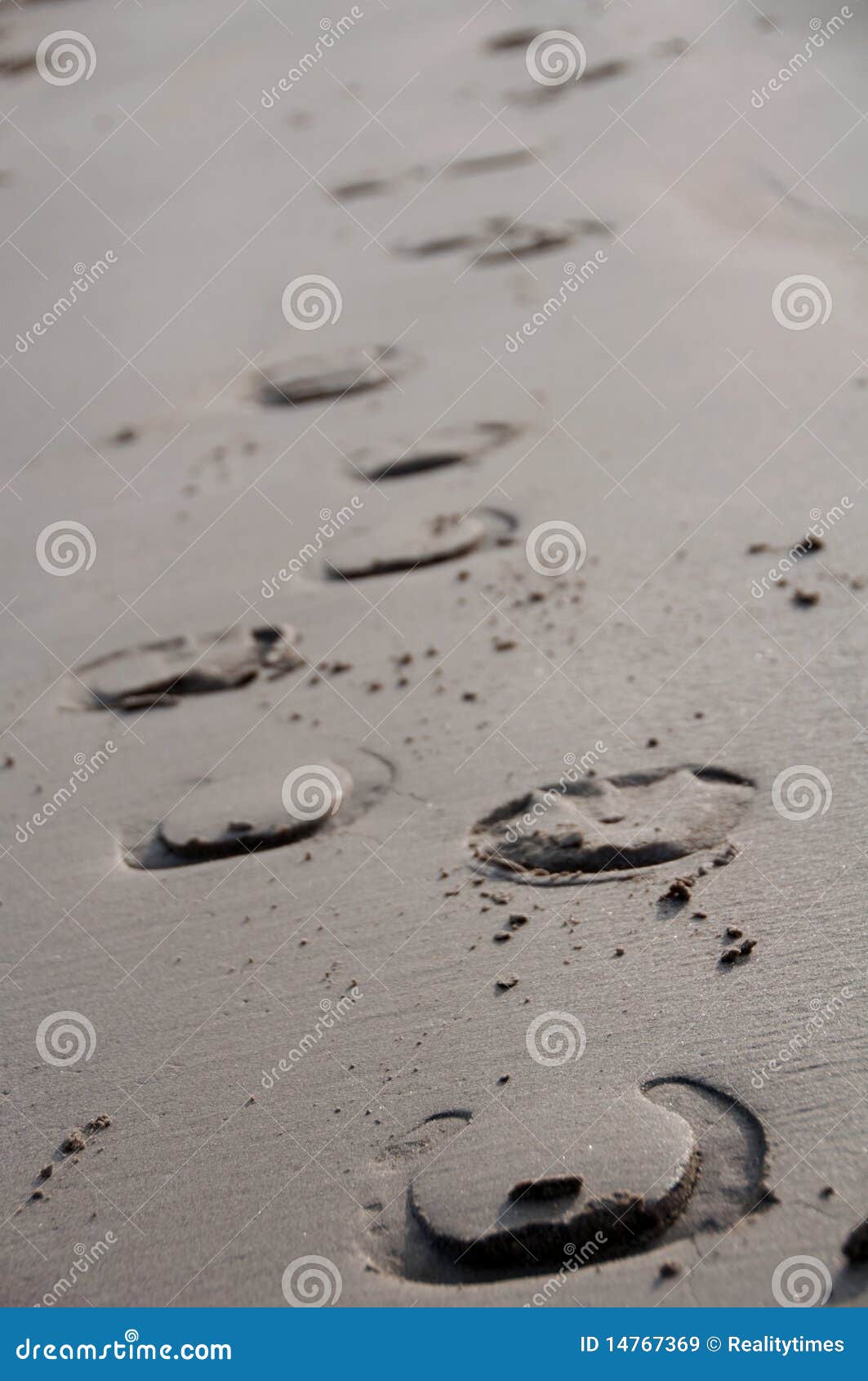 horse shoe prints in the sand