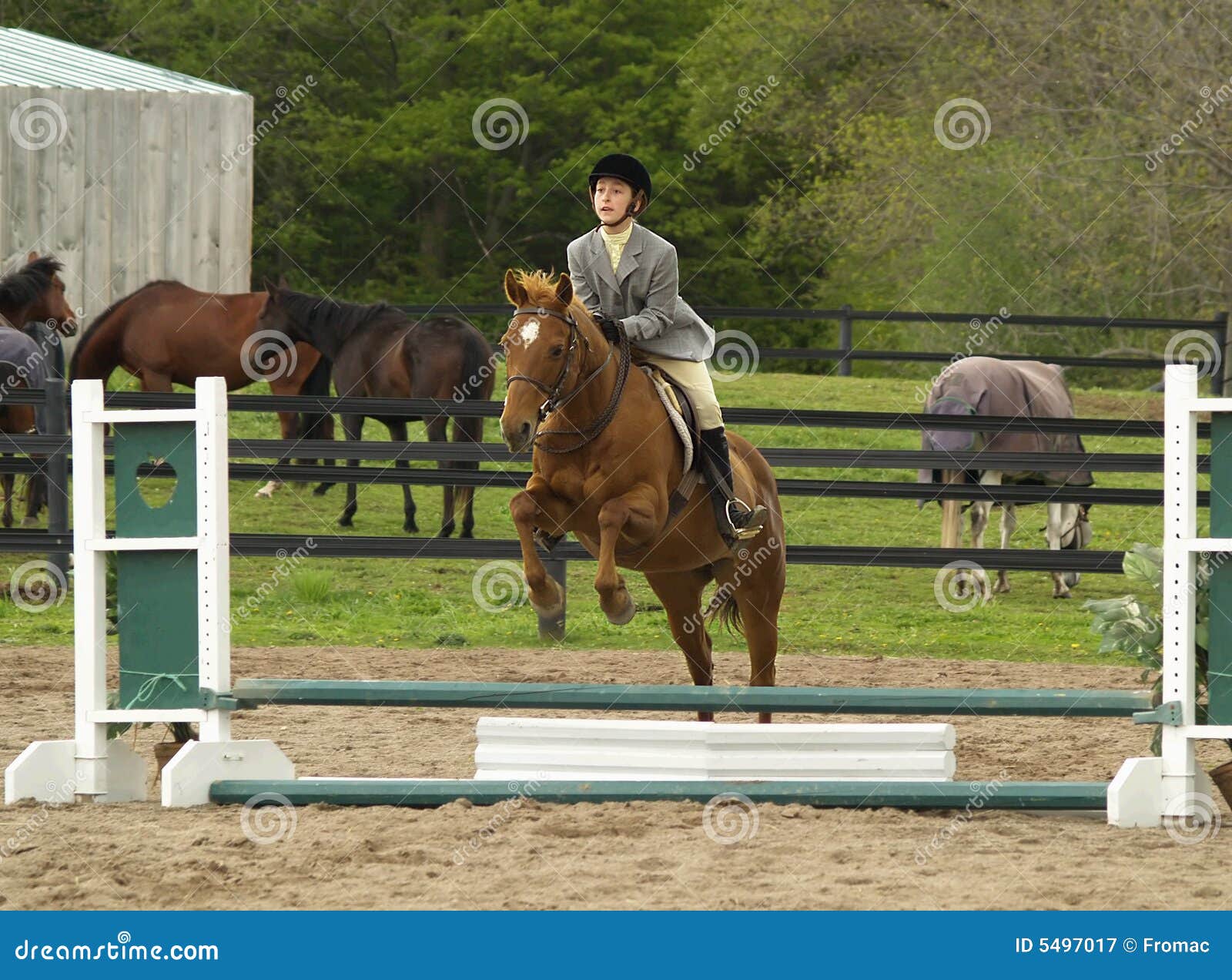 Full Length Shot Young Female Rider Jumping Hurdle Her Horse fotos, imagens  de © PeopleImages.com #585006420