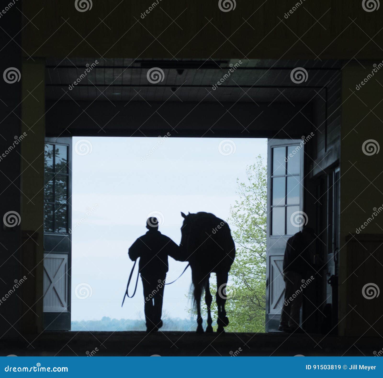 Horse Silhouette stock image. Image of horsephotography 91503819