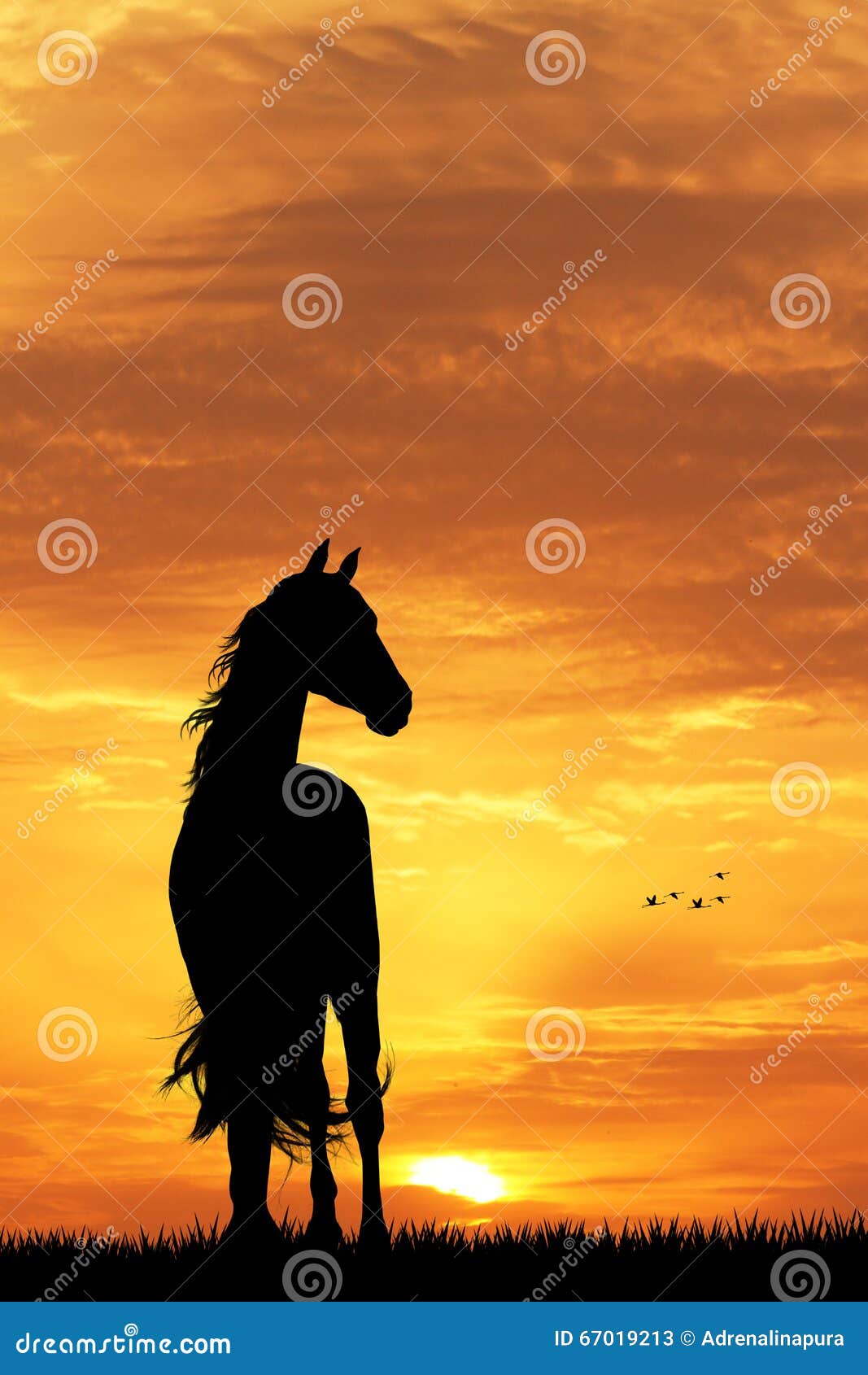 Horse silhouette at sunset stock illustration. Illustration of horse -  67019213, image size:1067x1690