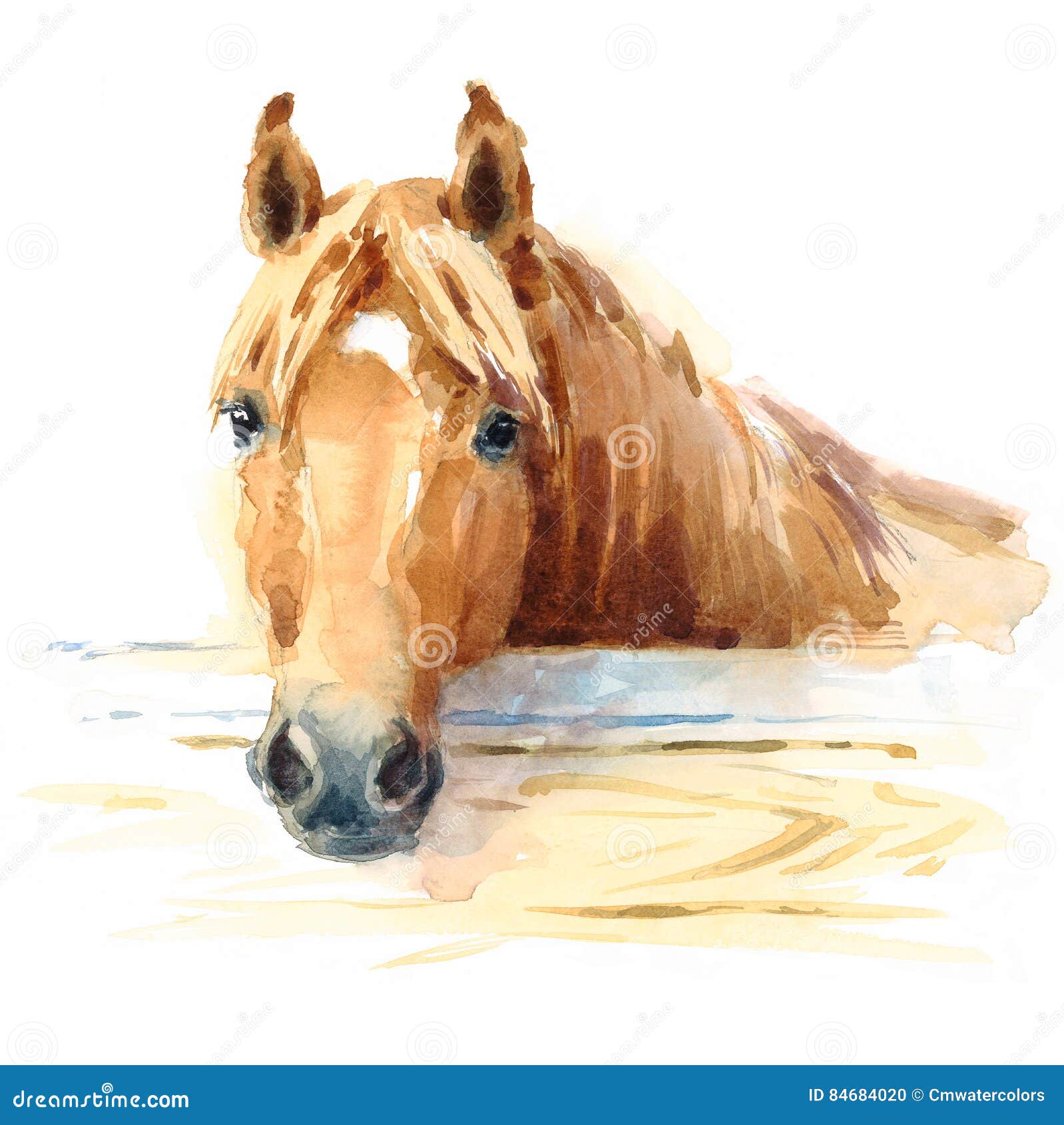 horse in stable watercolor animal  hand painted