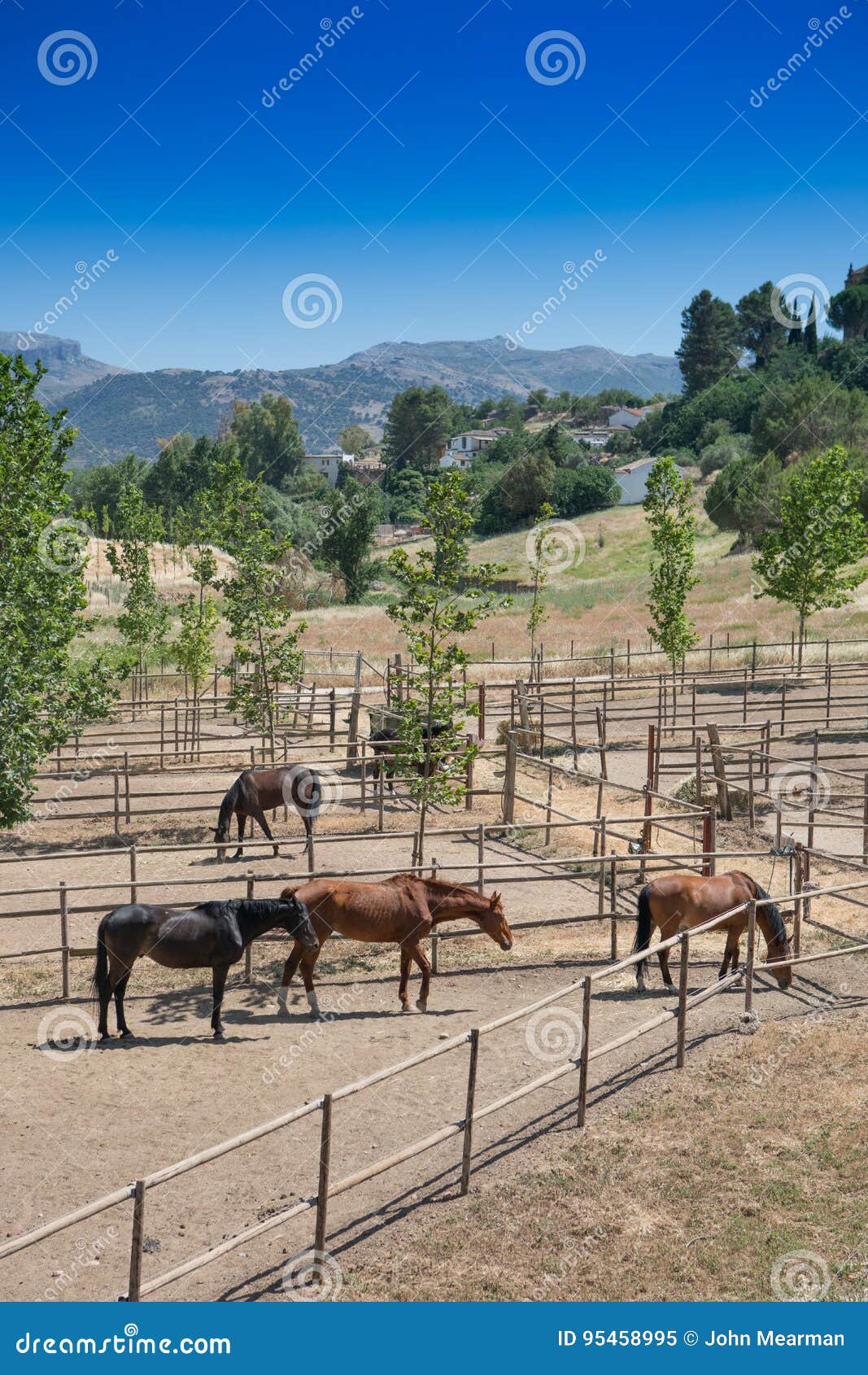 horse stables, ronda, andalucia, spain