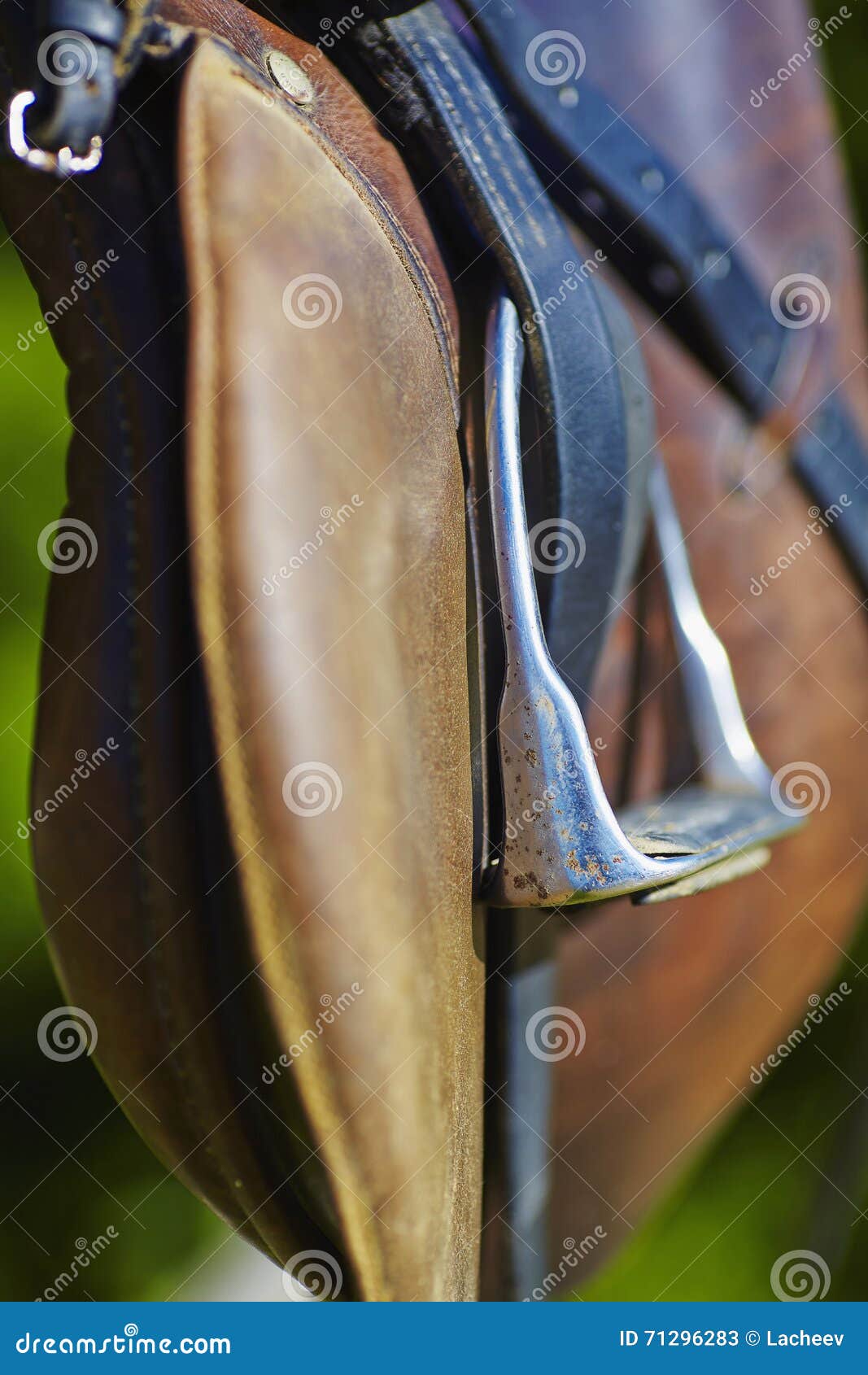 Horse stirrups. stock image. Image of horse, boot, polo 71296283