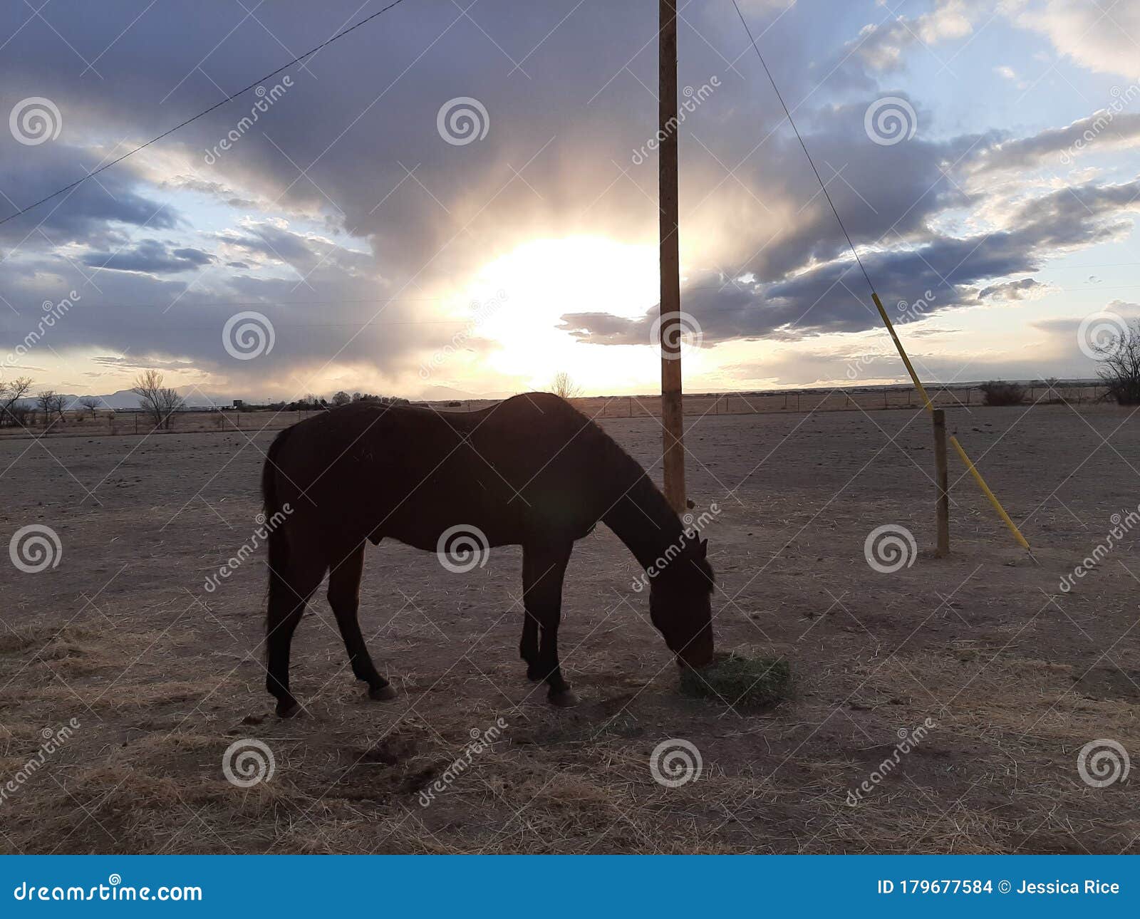 Horse, Sunset, Sunset, Clouds Stock Photo Image of landscape, pasture
