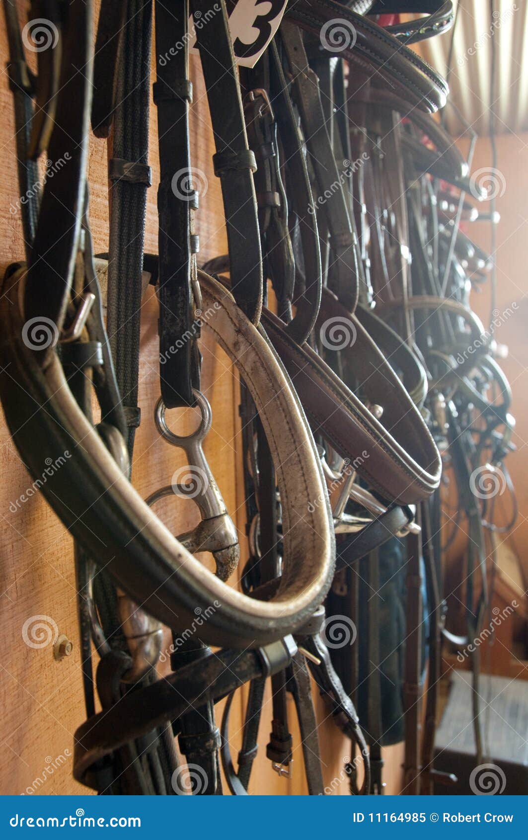 Horse tackle in sunlight stock image. Image of riding 11164985