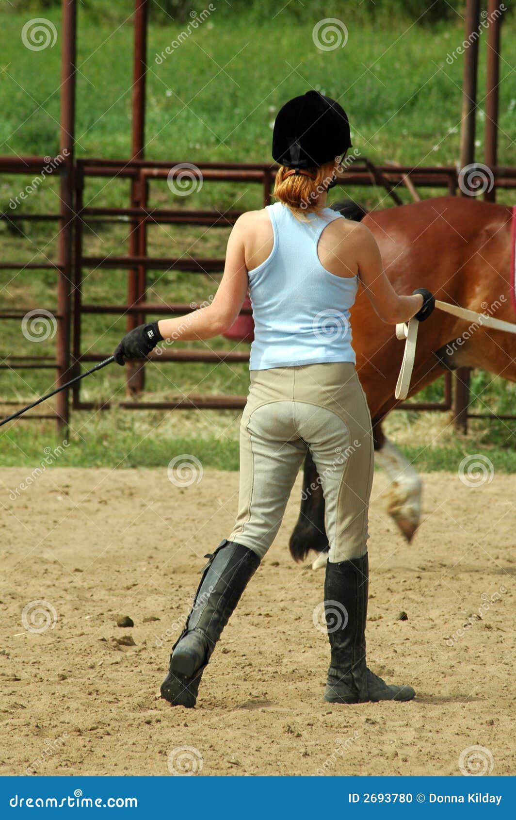 Horse Trainer stock photo. Image of active, equine, farm 2693780