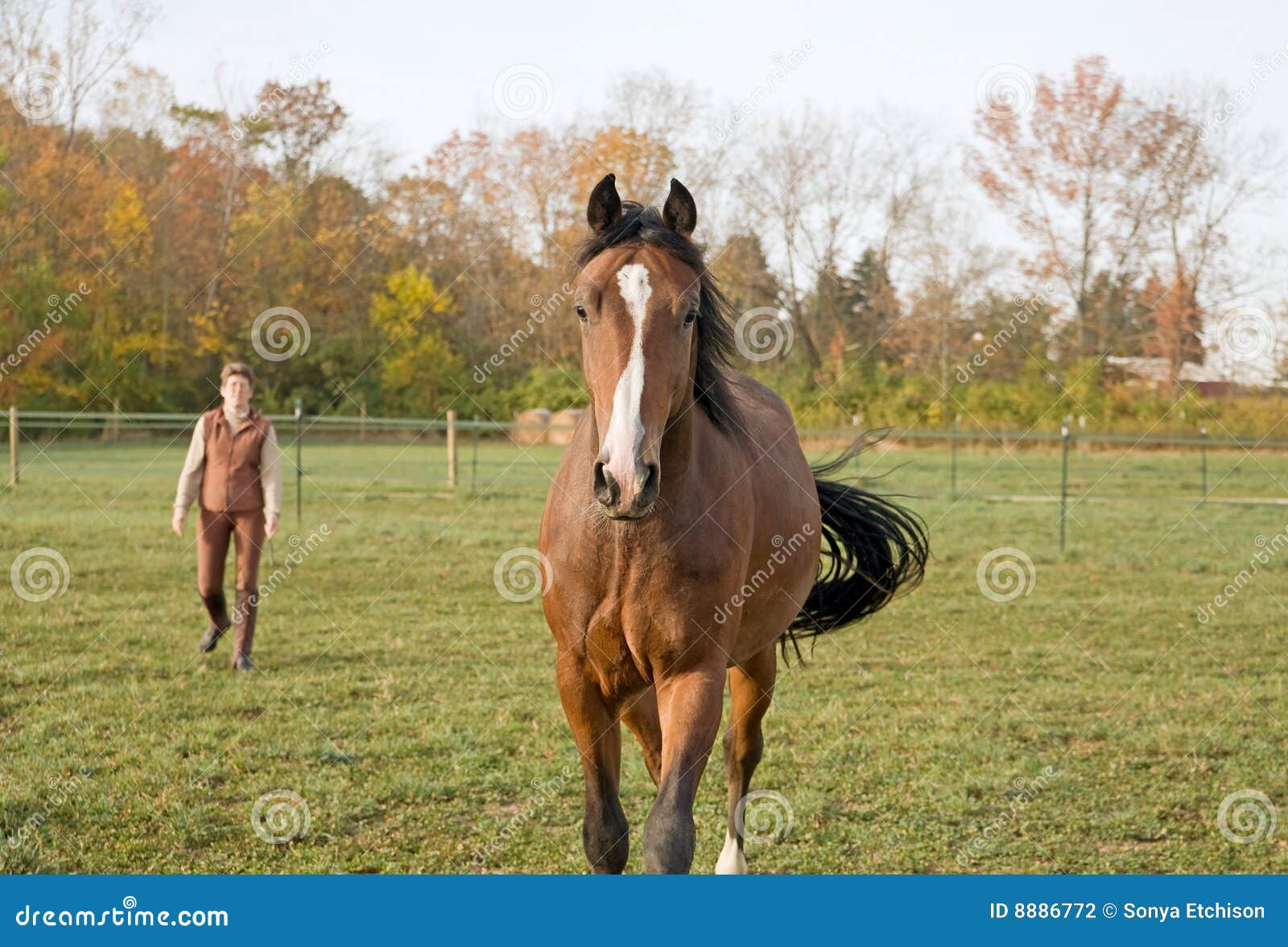 horse and trainer