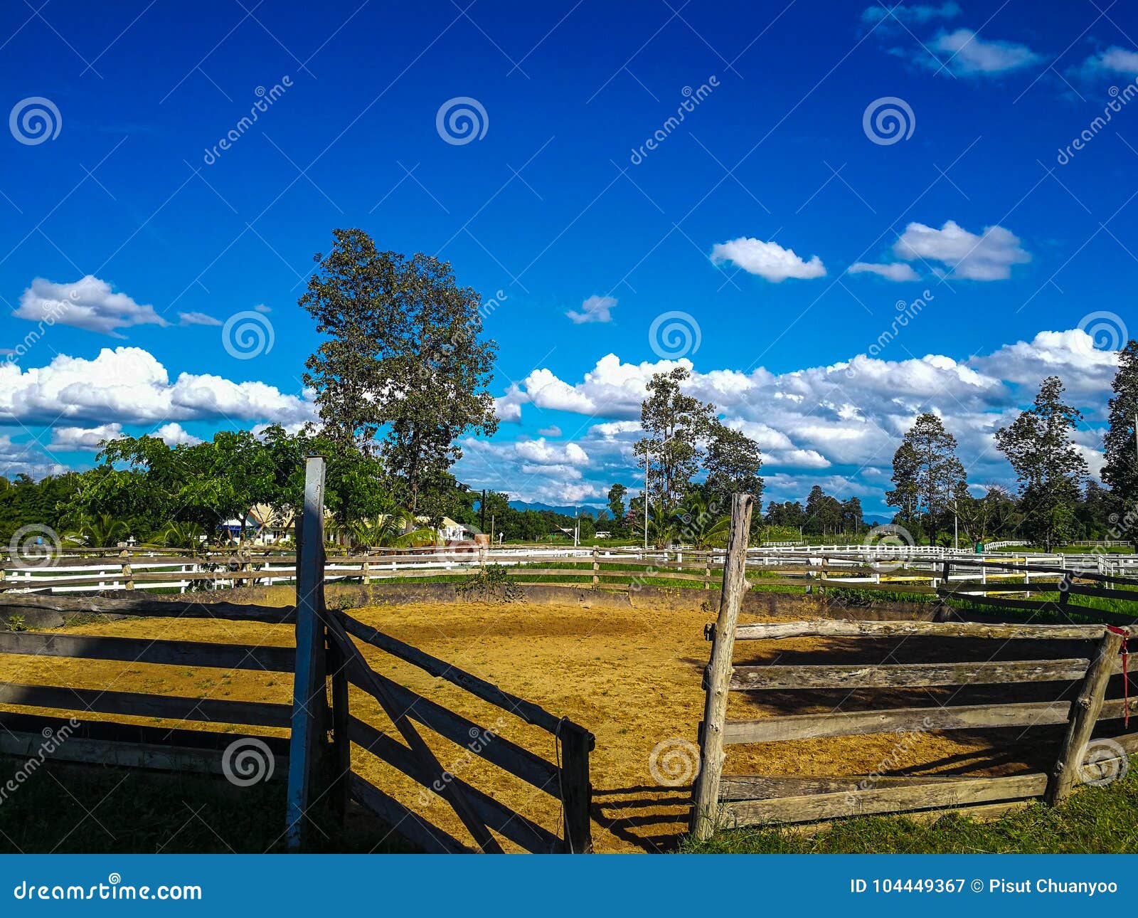 A Horse Training Circle Corral Outdoors Stock Image Image of