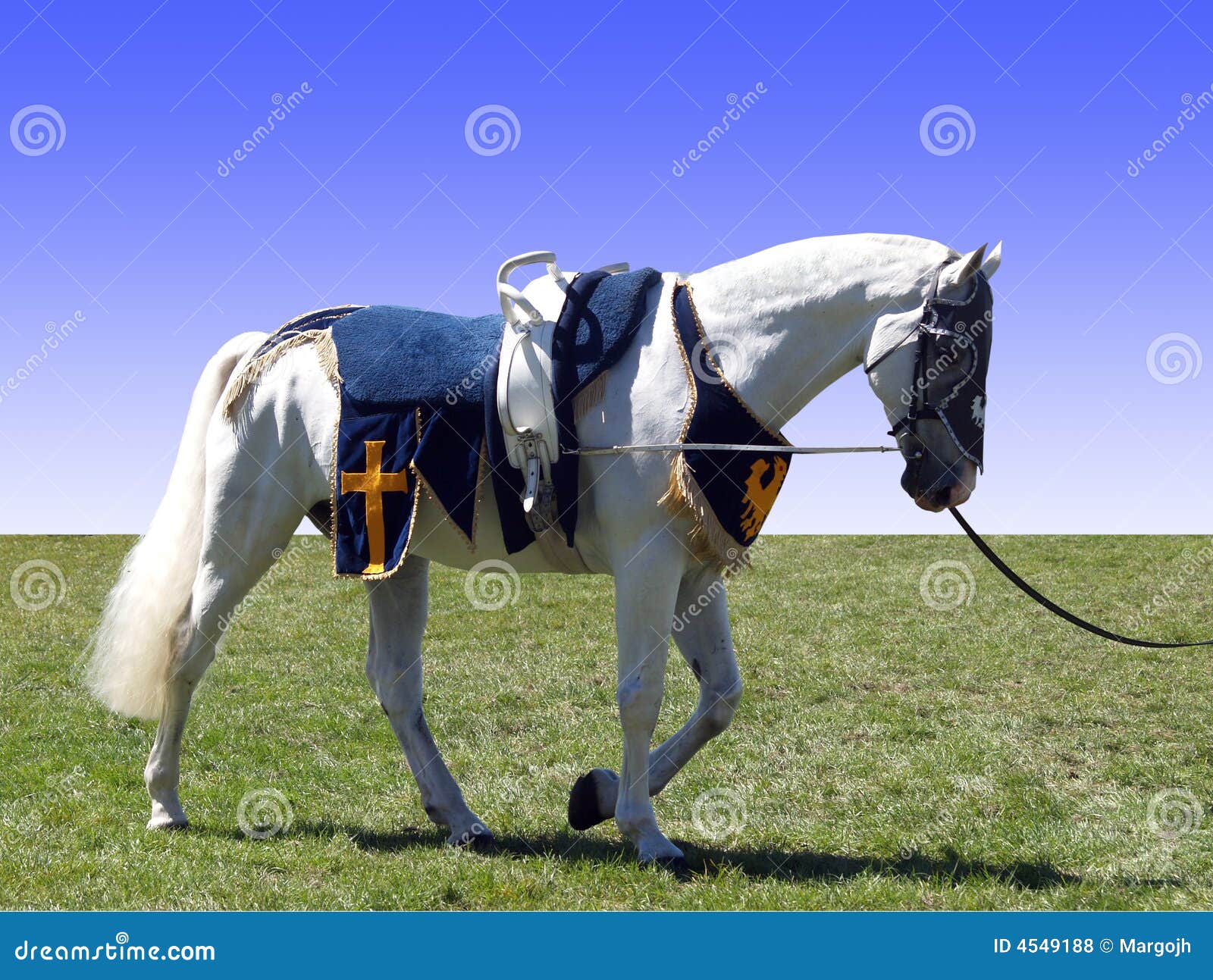 Horse with Vaulting Saddle stock photo. Image of event 4549188