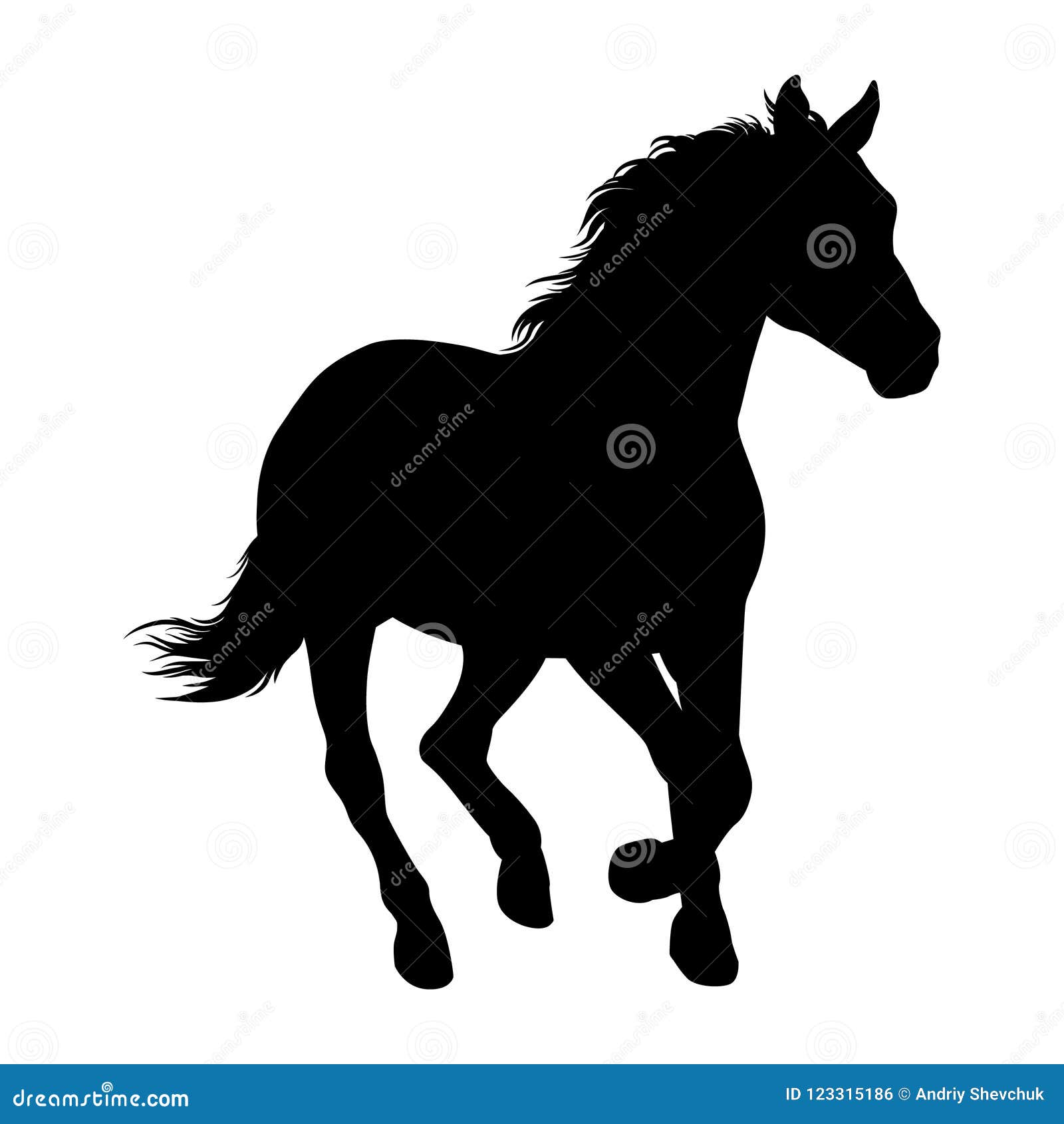Vector Set Of Horse Breeds Silhouette | CartoonDealer.com #271431883