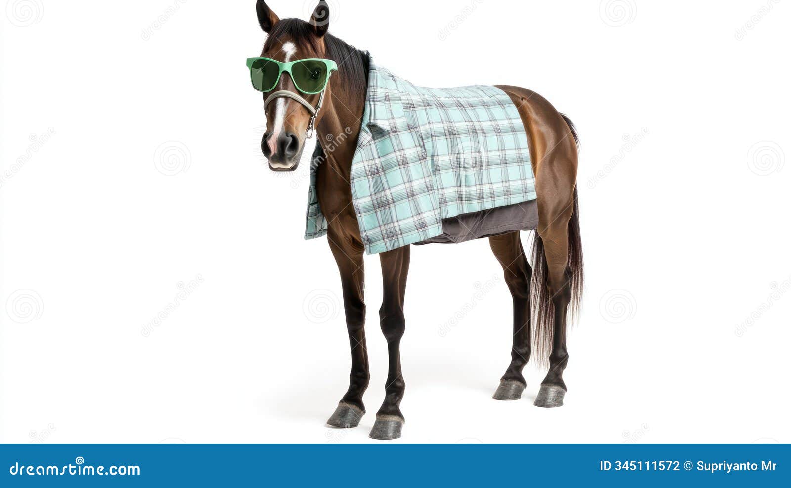 a horse wearing sunglasses and a plaid blanket showcasing a playful and whimsical style