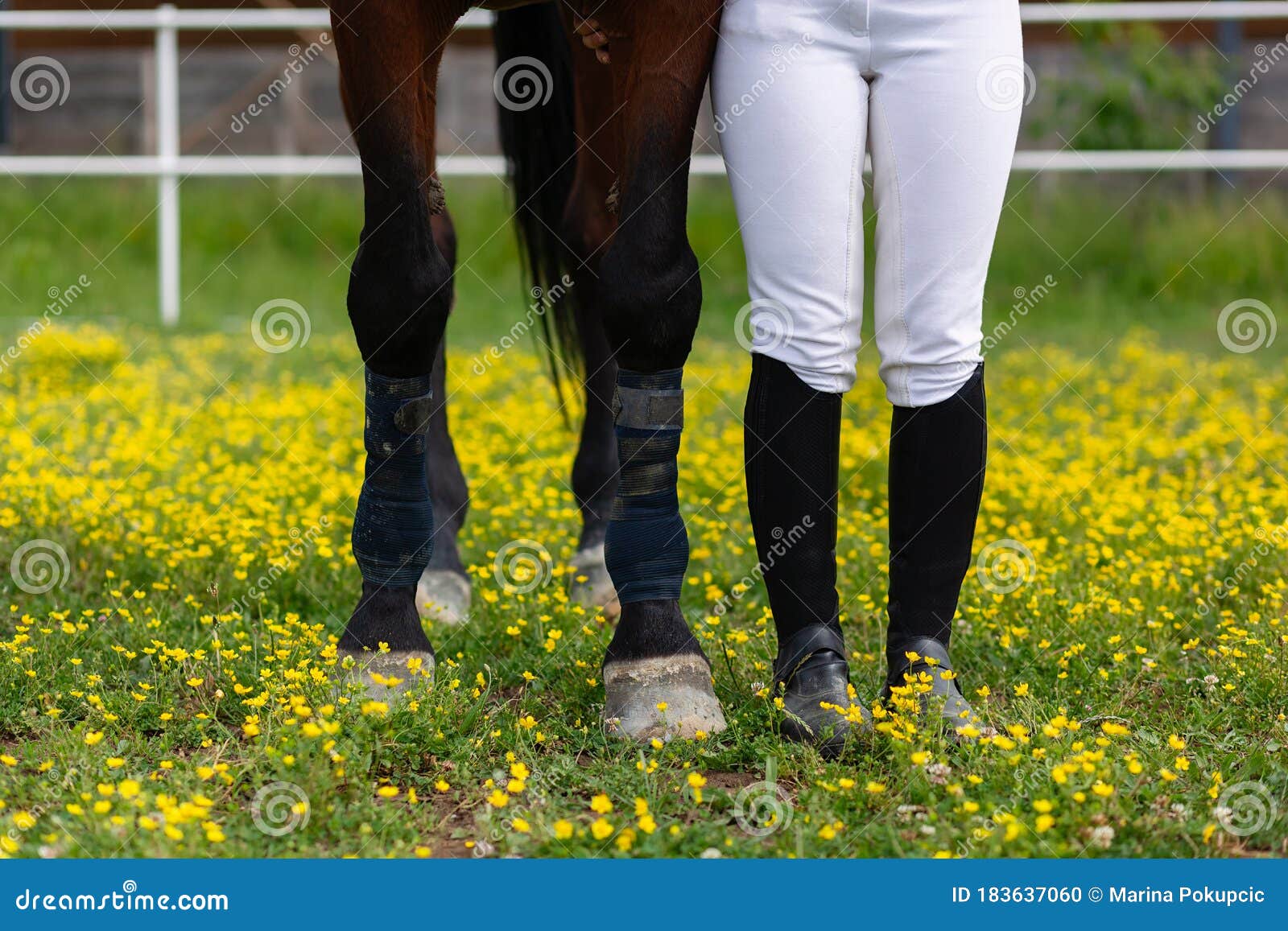 riding pants and boots