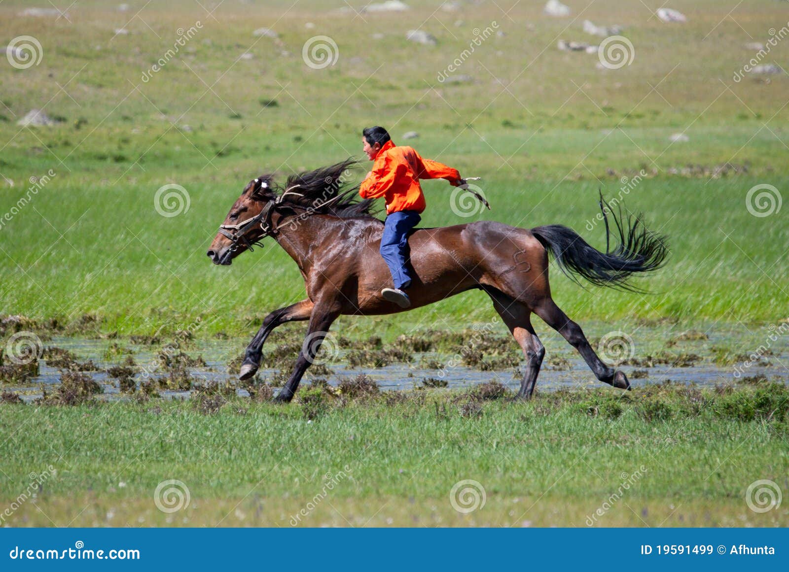 on horseback across the steppe